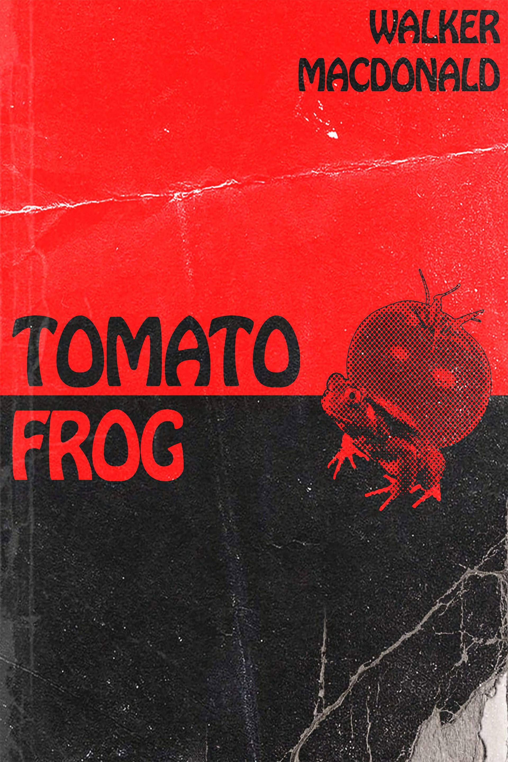 Tomato Frog