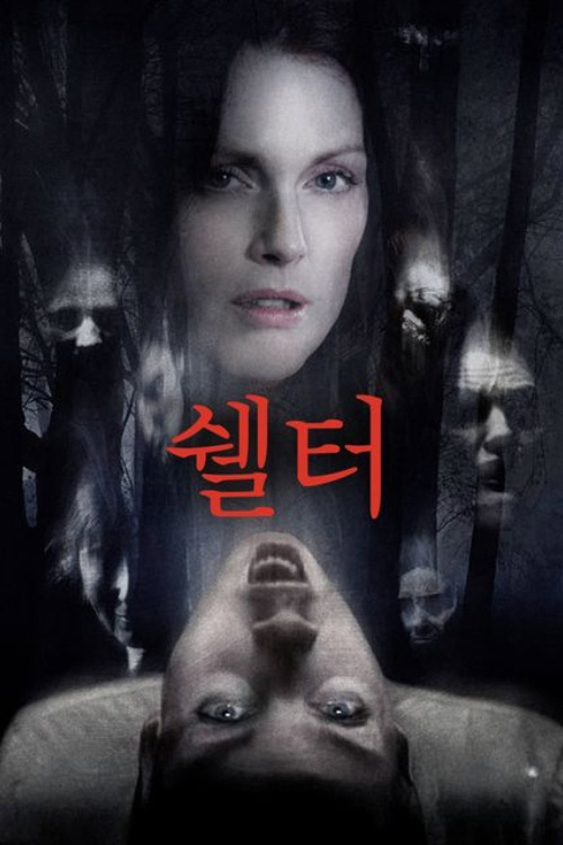 쉘터