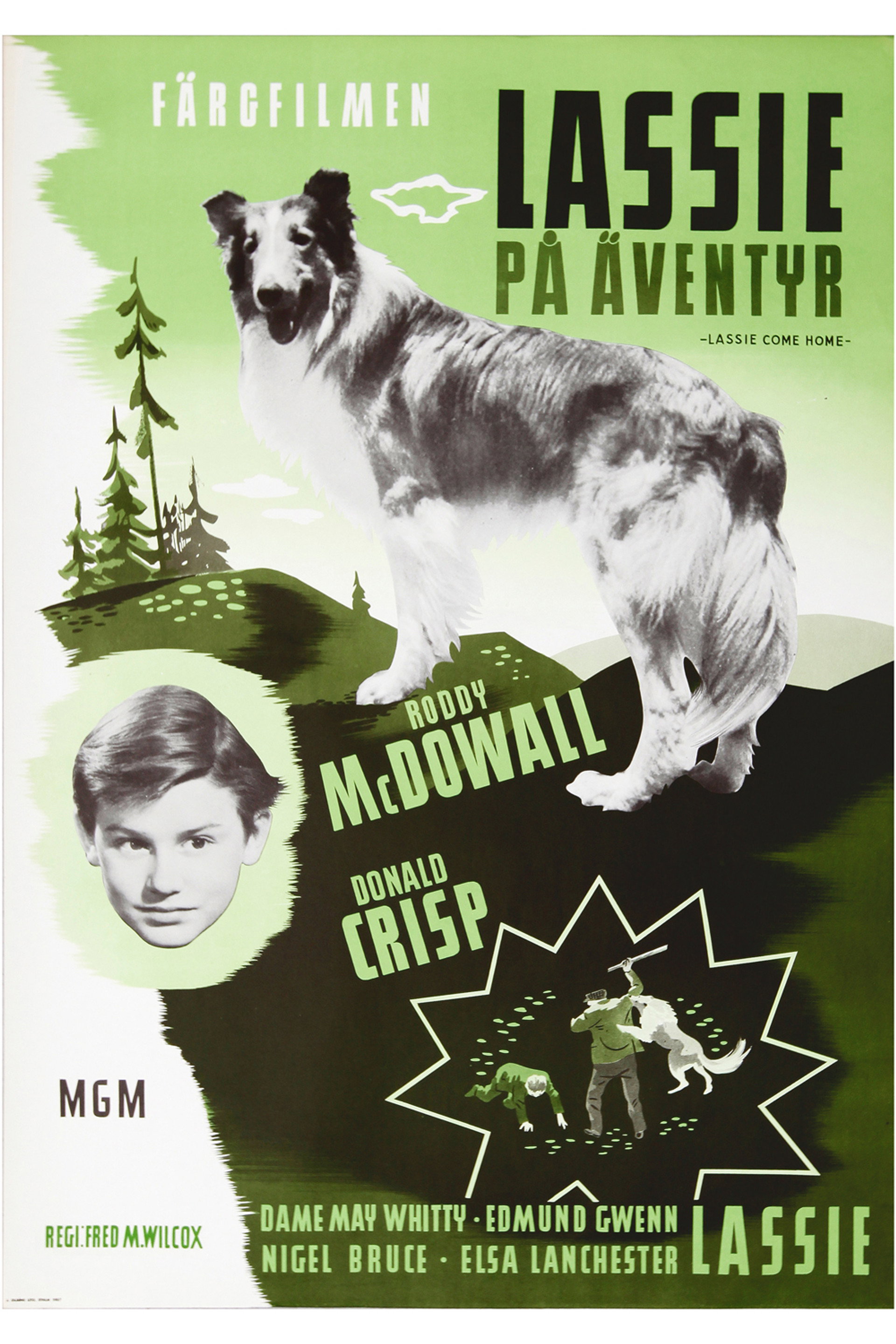 Lassie på äventyr