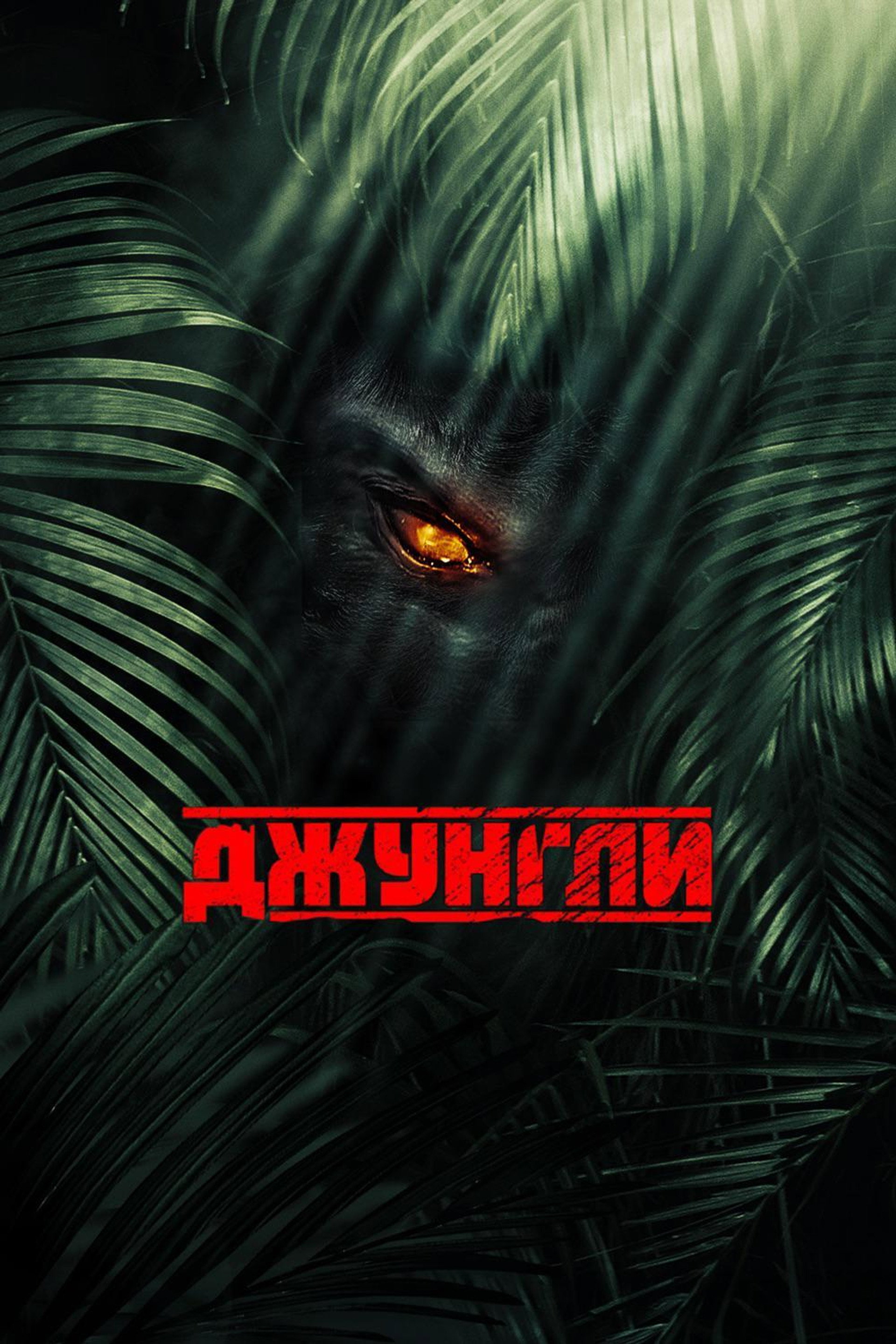 Джунгли