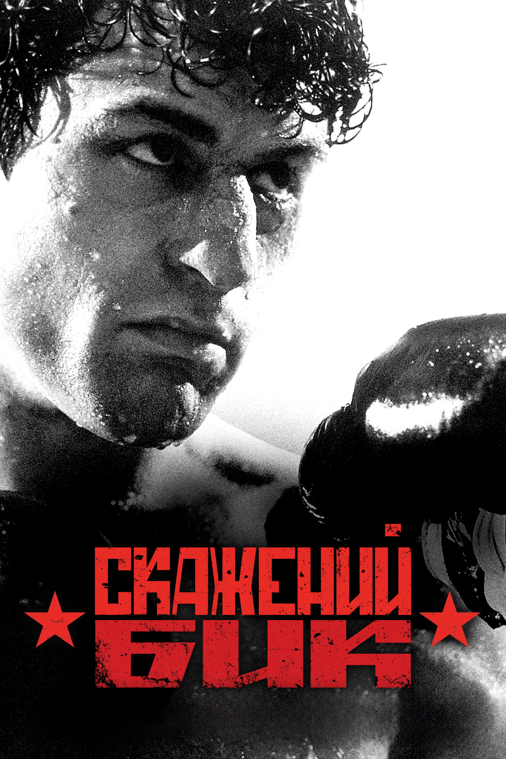 Скажений бик