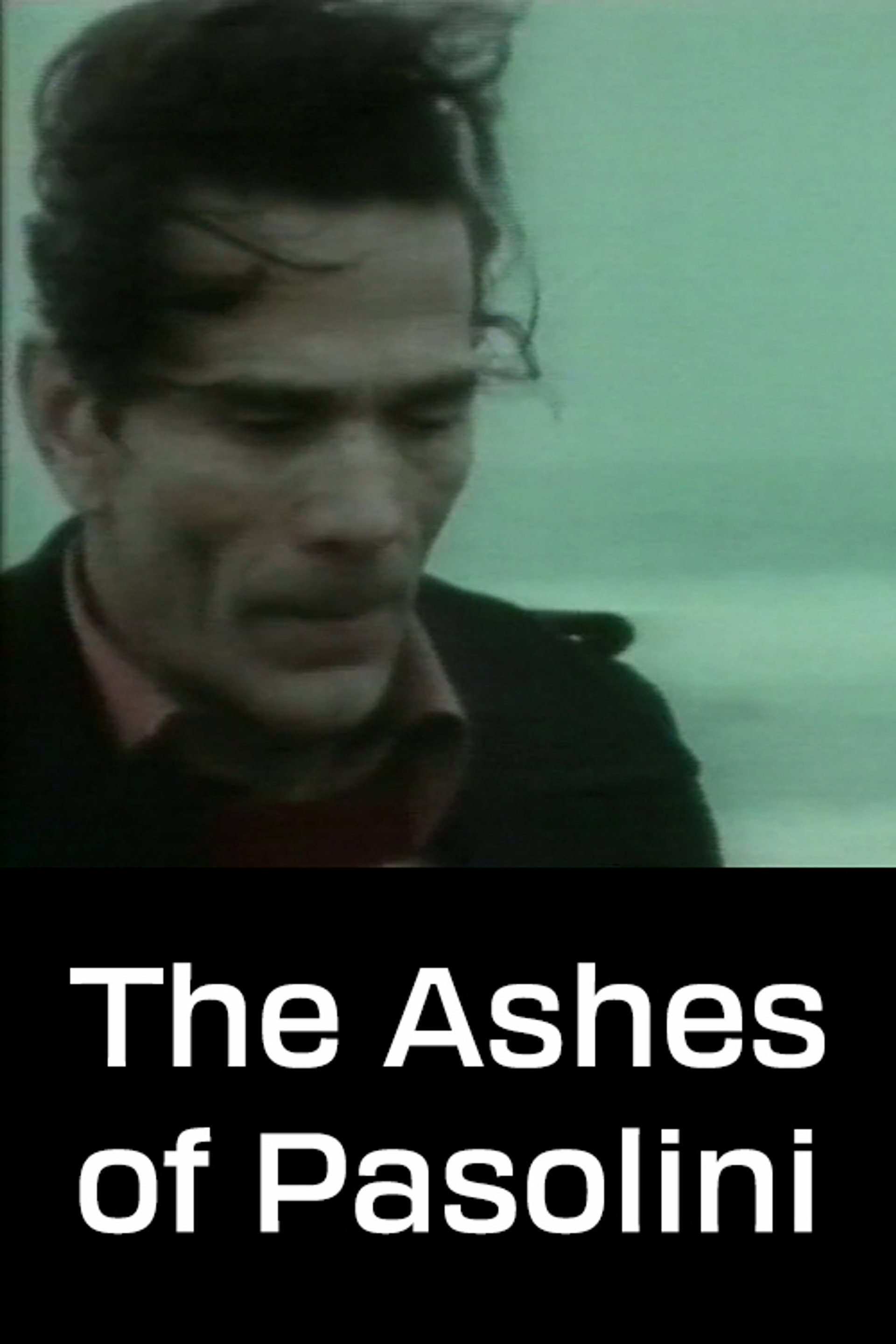 Le ceneri di Pasolini