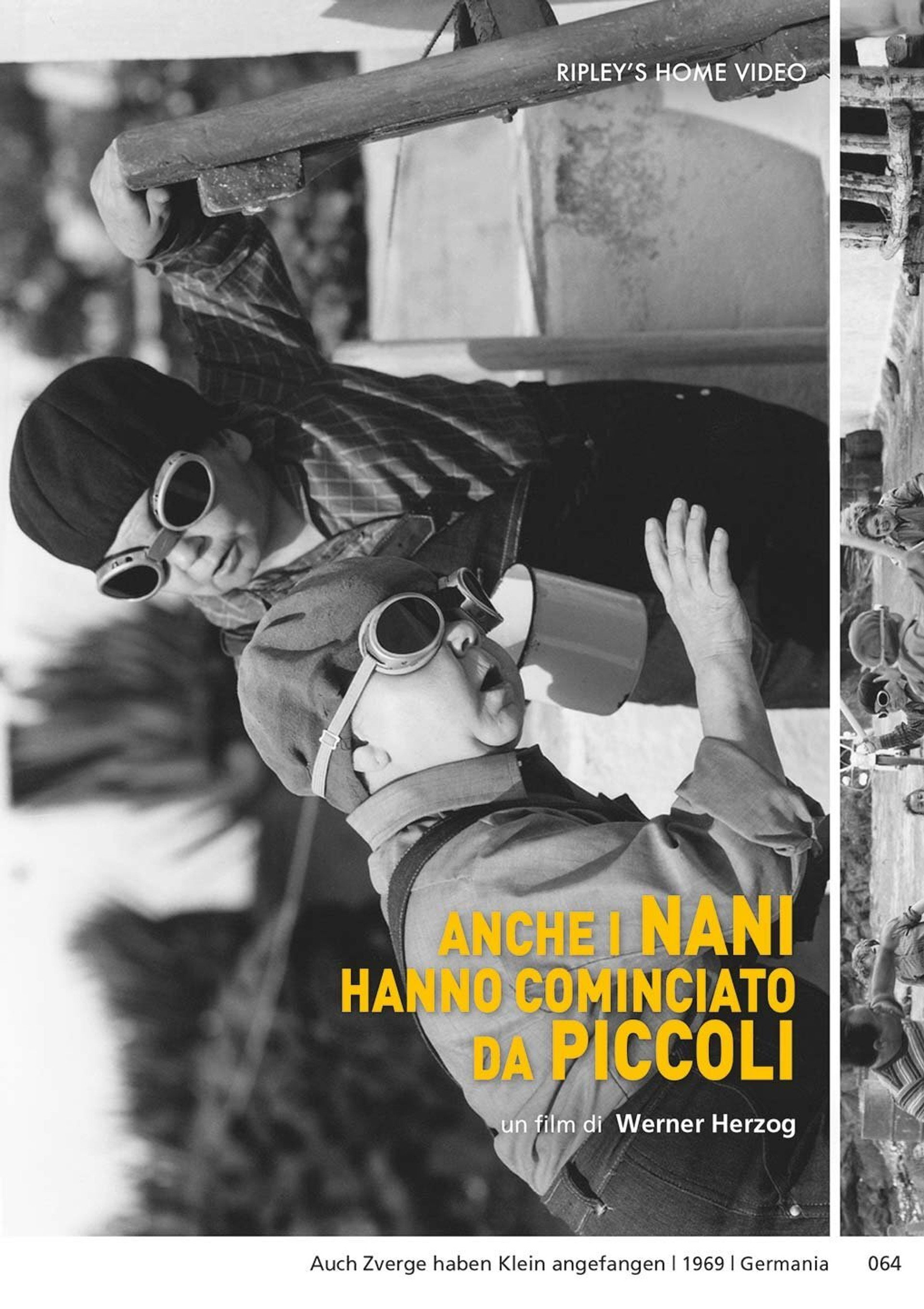 Anche i nani hanno cominciato da piccoli
