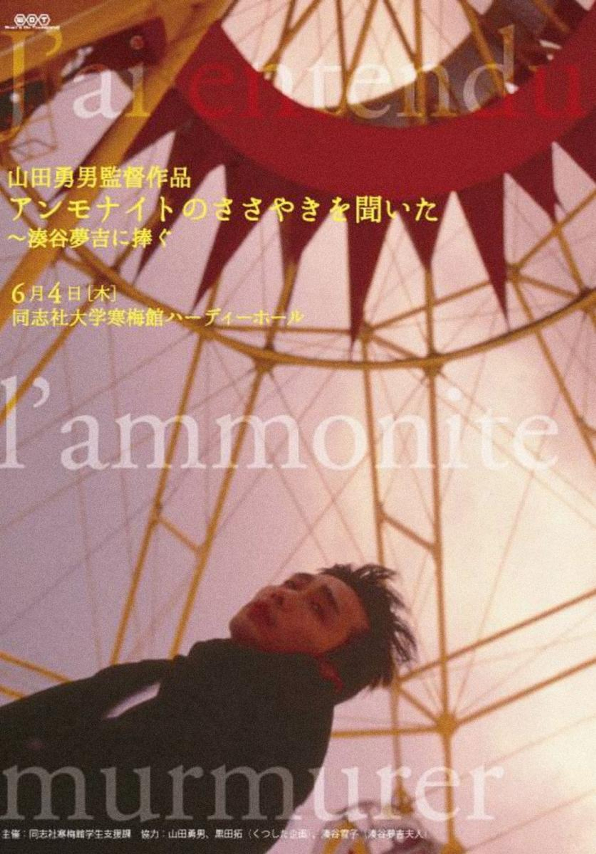 アンモナイトのささやきを聞いた