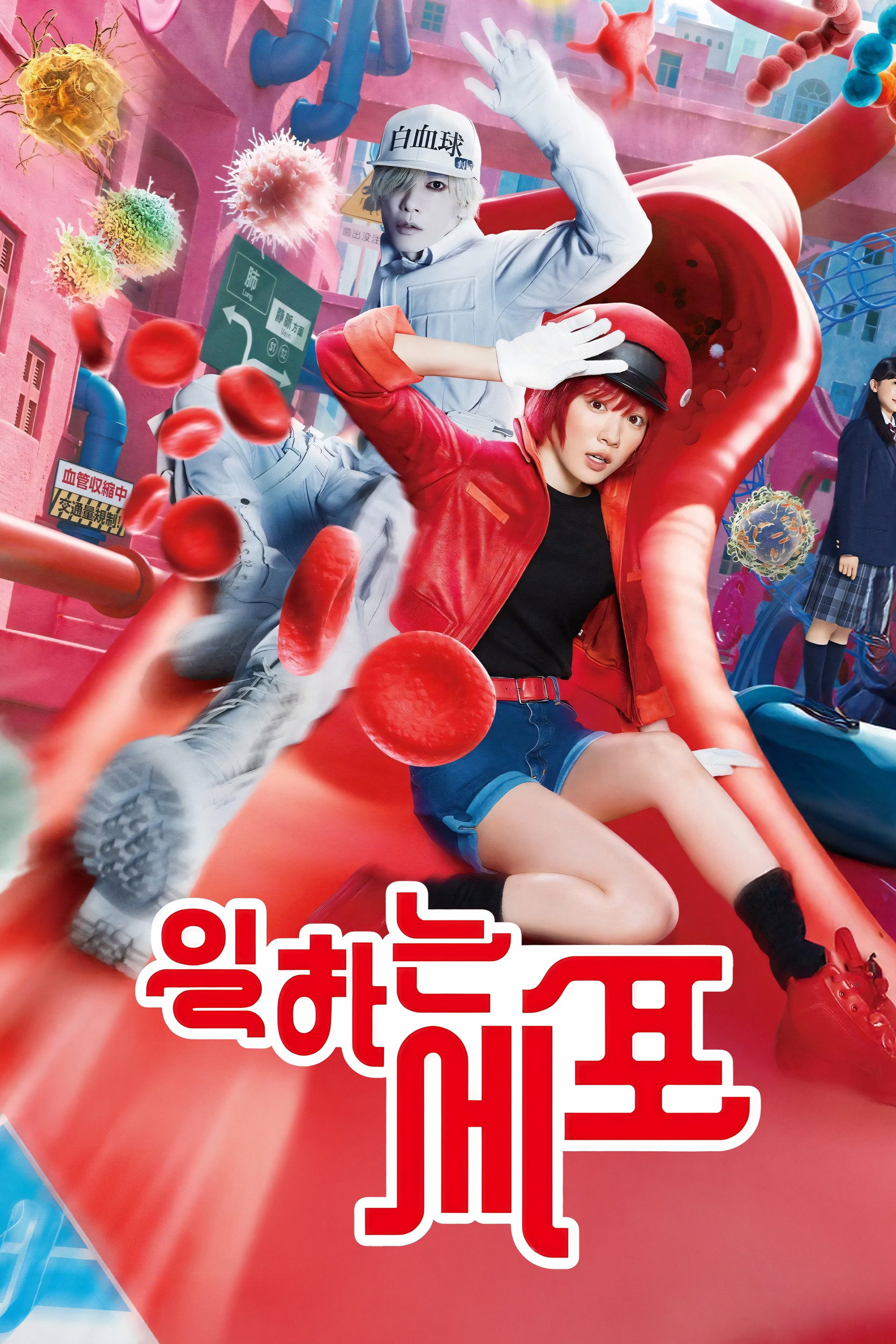 일하는 세포