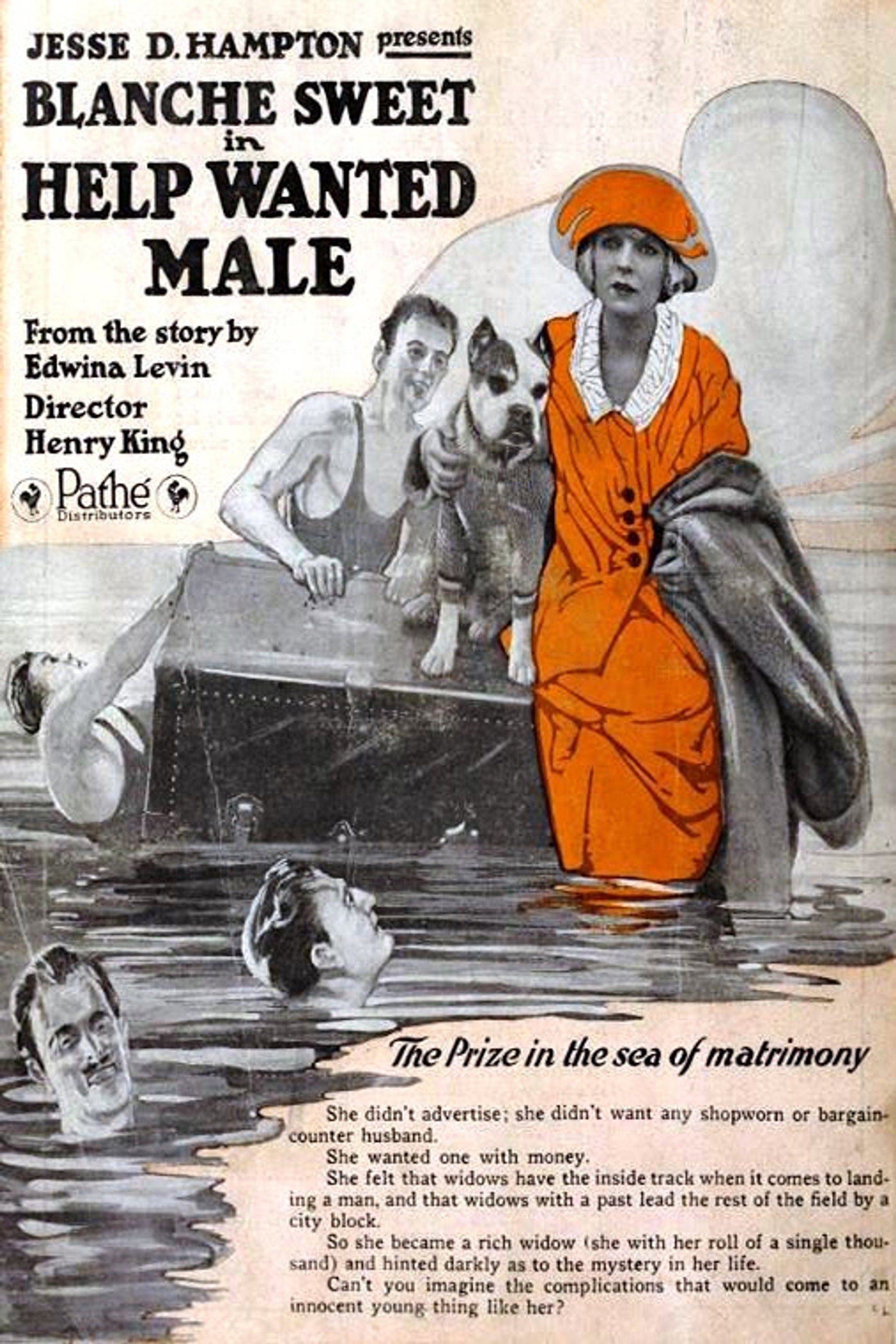 Help Wanted - Male