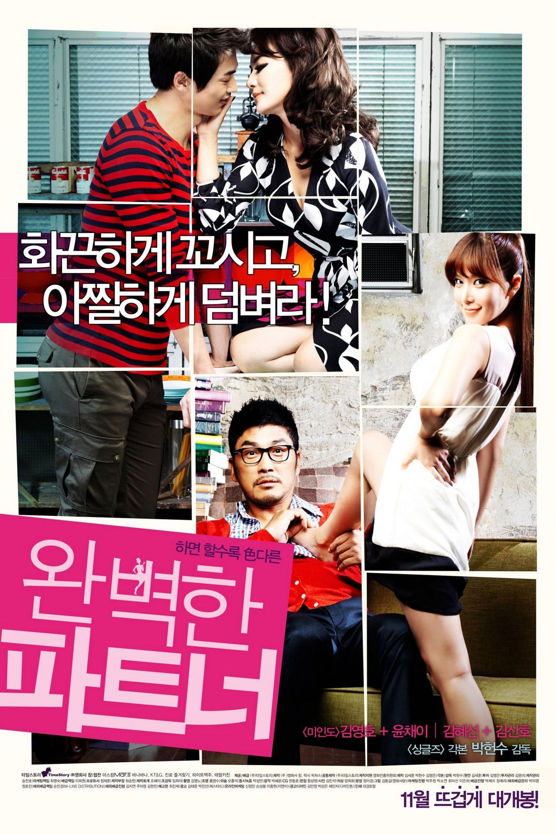 완벽한 파트너