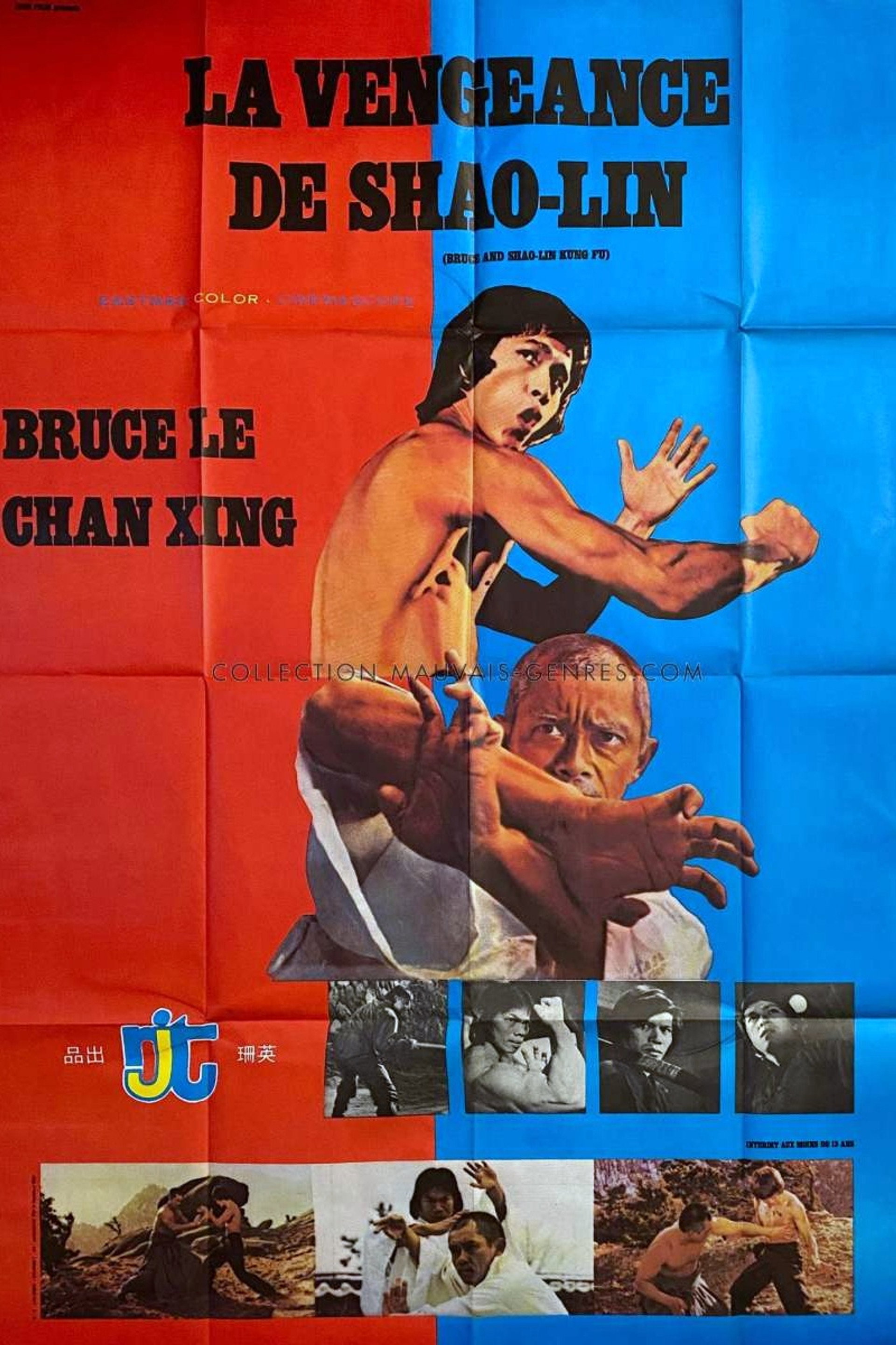 Bruce and Shaolin Kung Fu