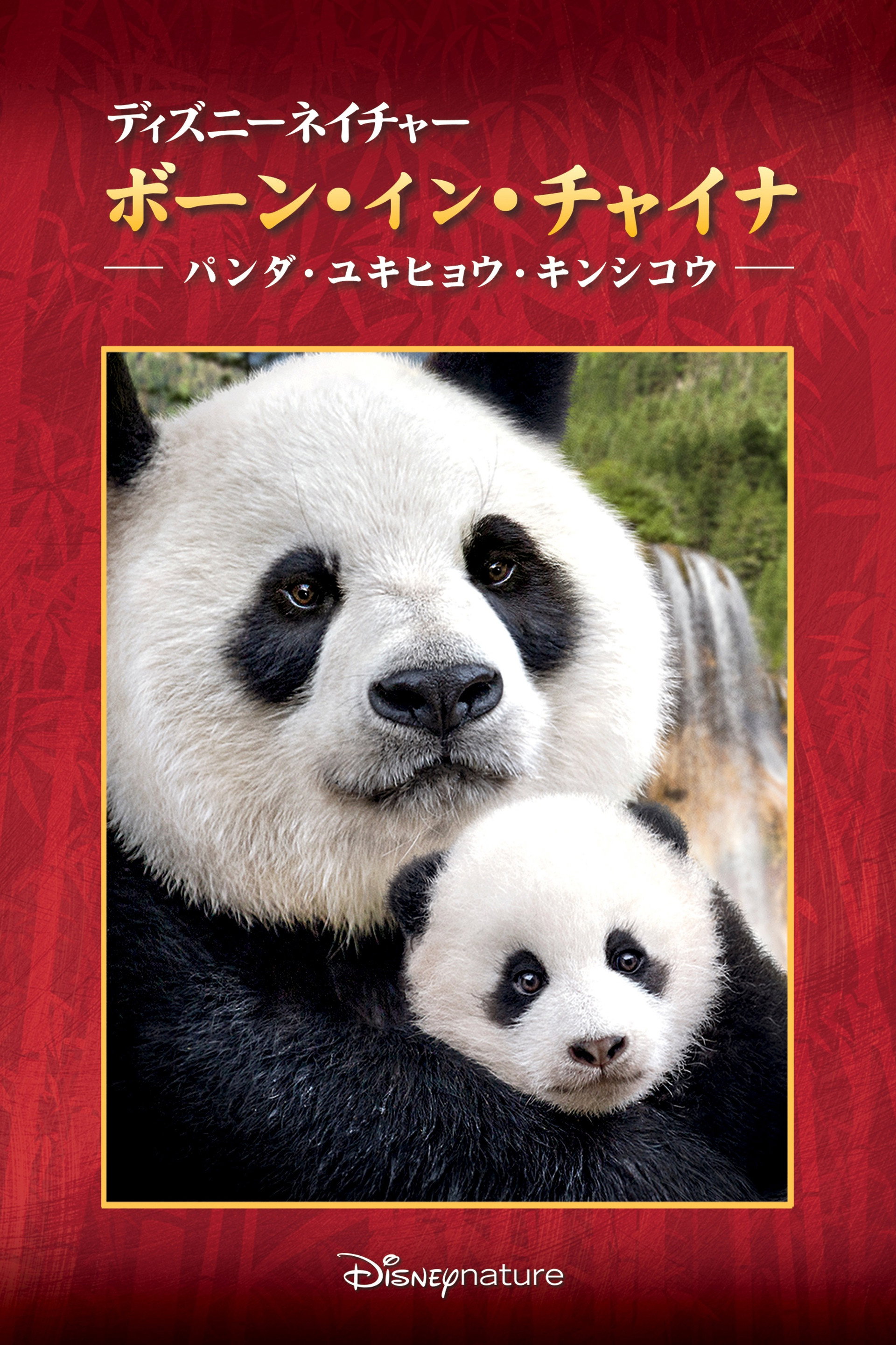 ボーン・イン・チャイナ - パンダ・ユキヒョウ・キンシコウ -