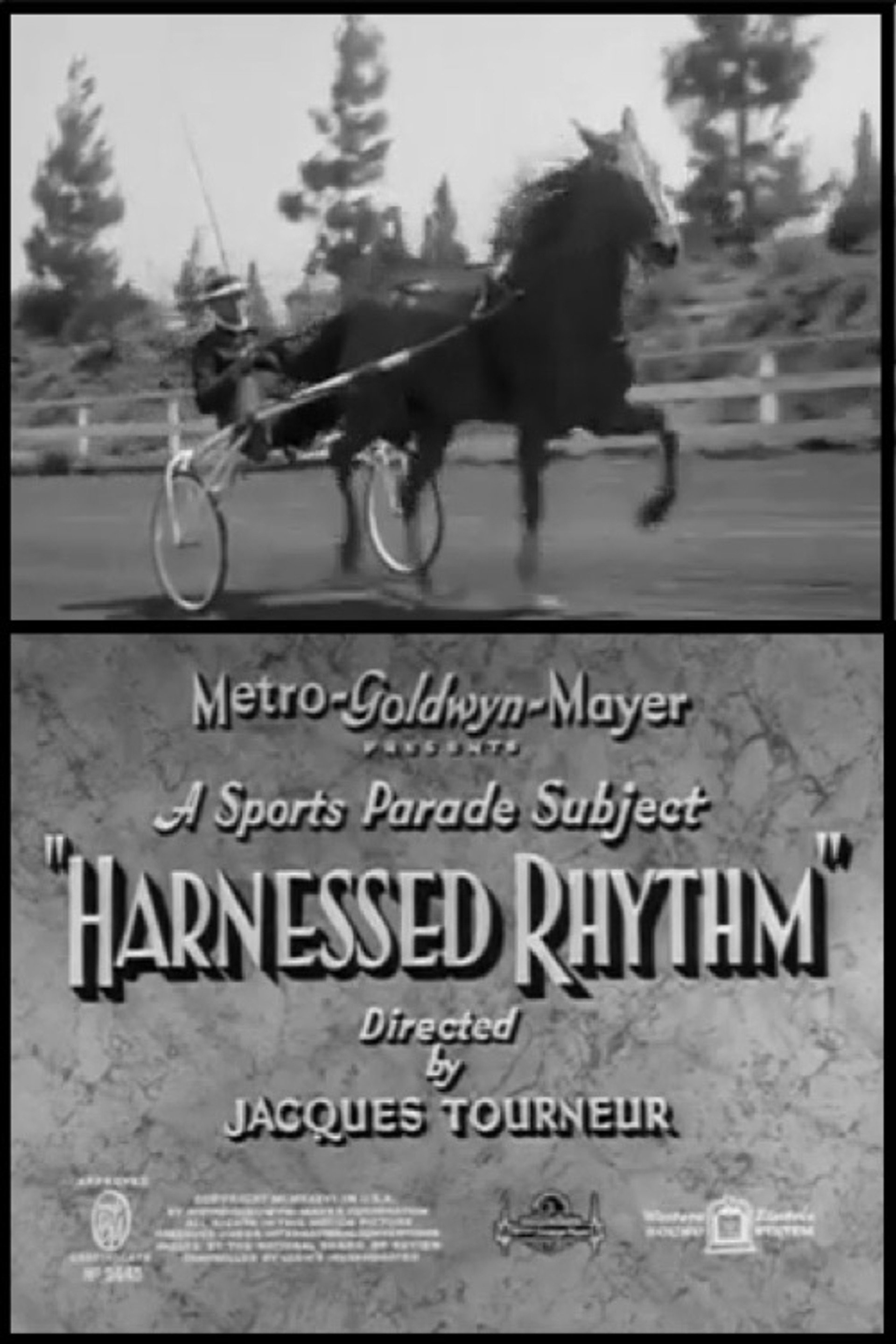 Harnessed Rhythm