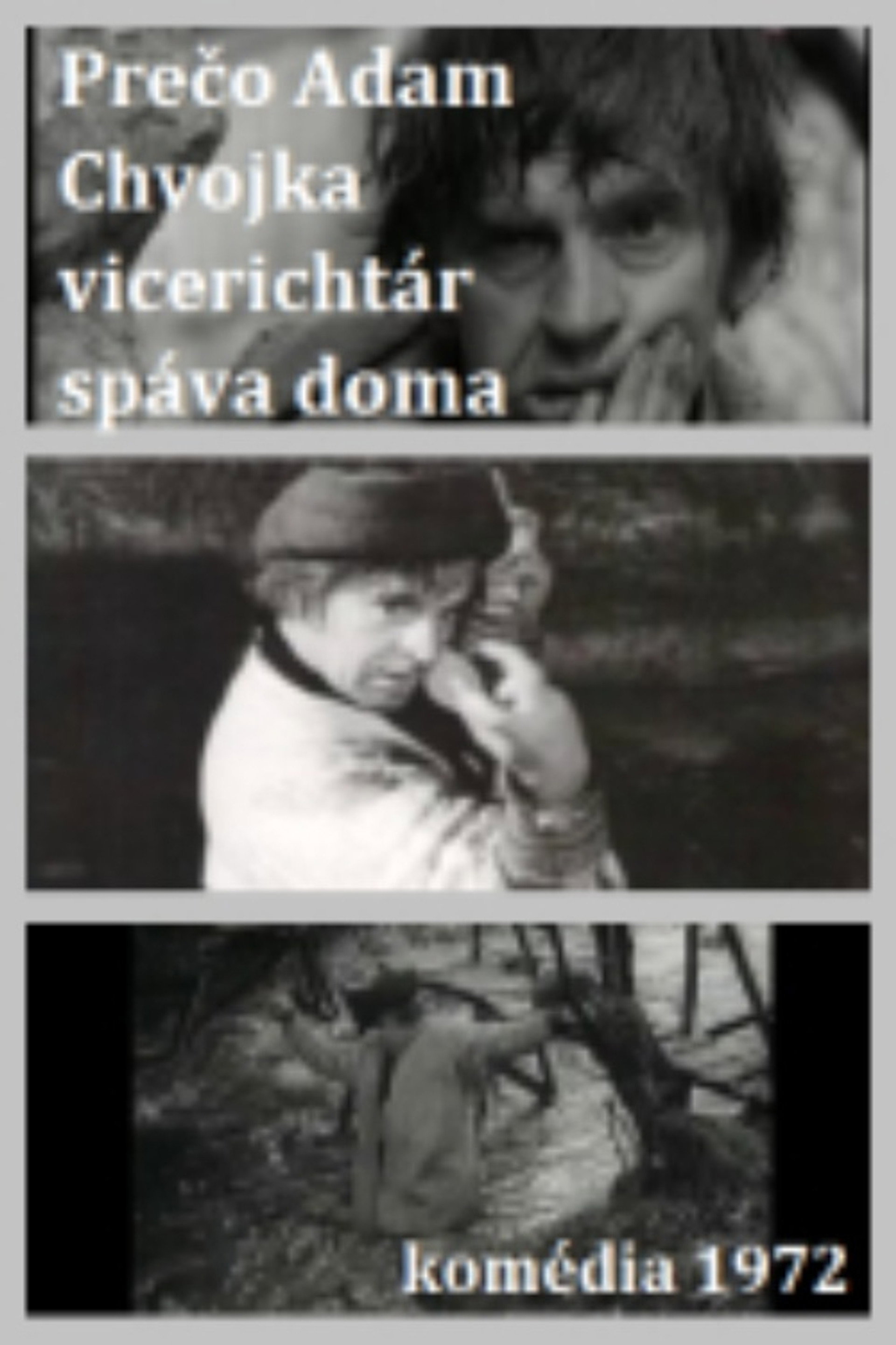Adam Chvojka vicerichtár