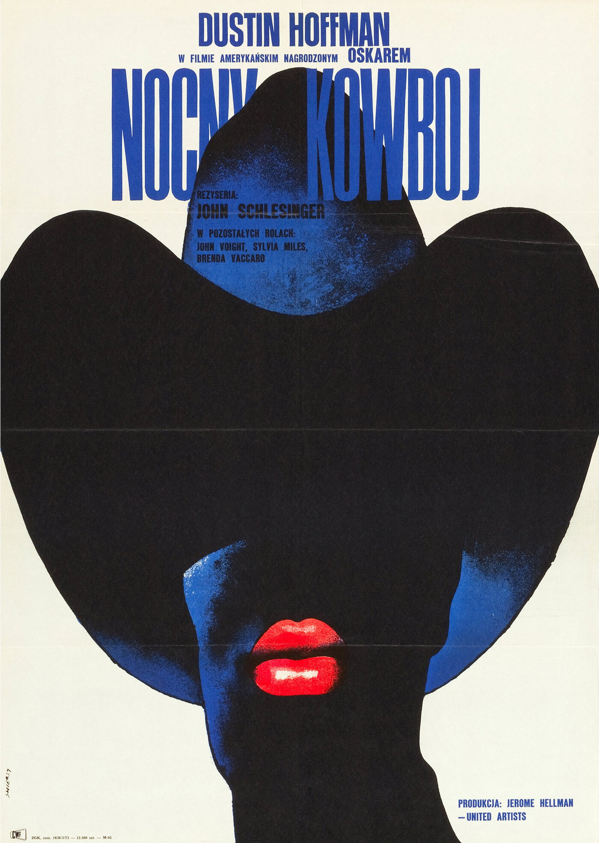 Nocny kowboj