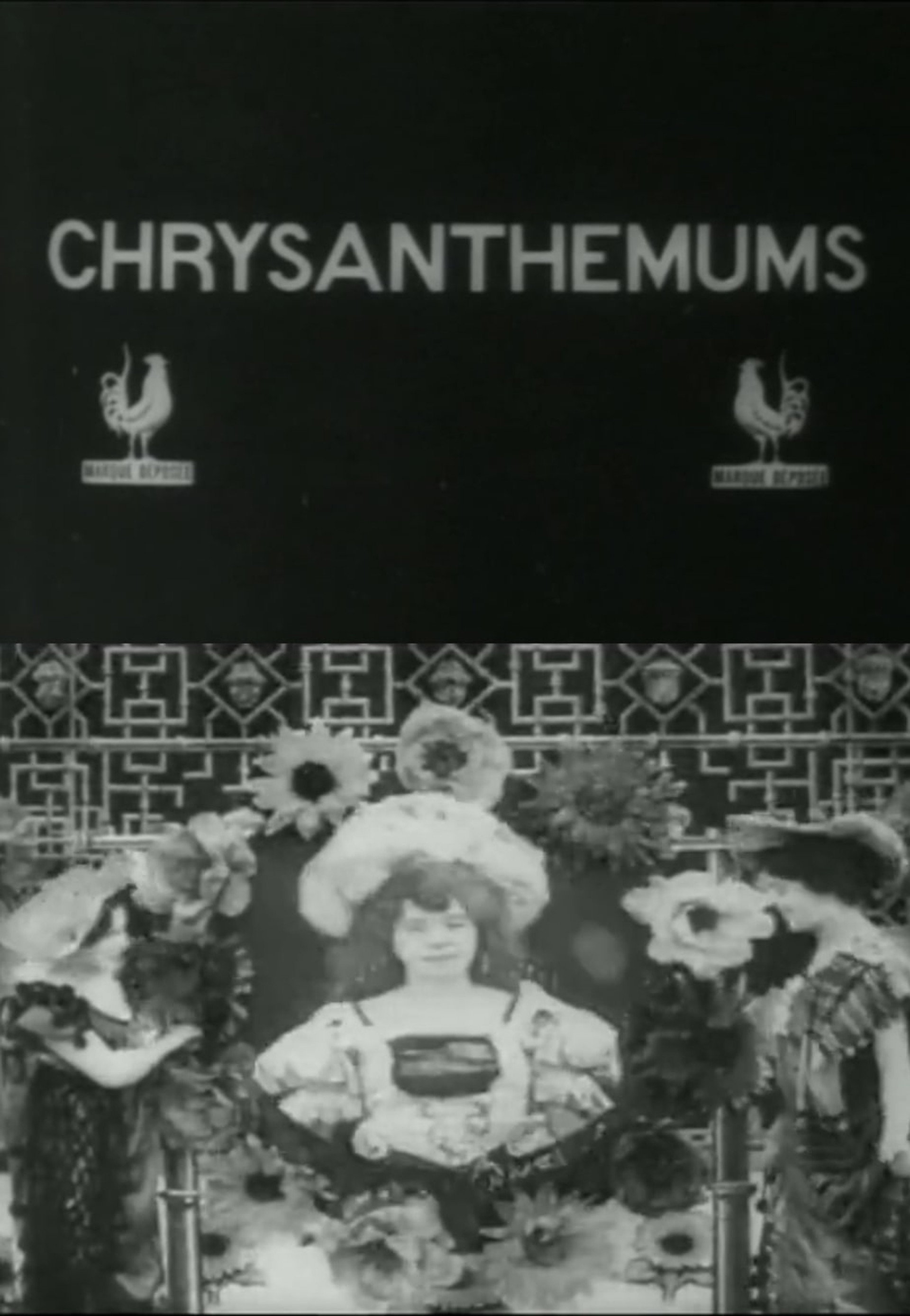 Les Chrysanthèmes