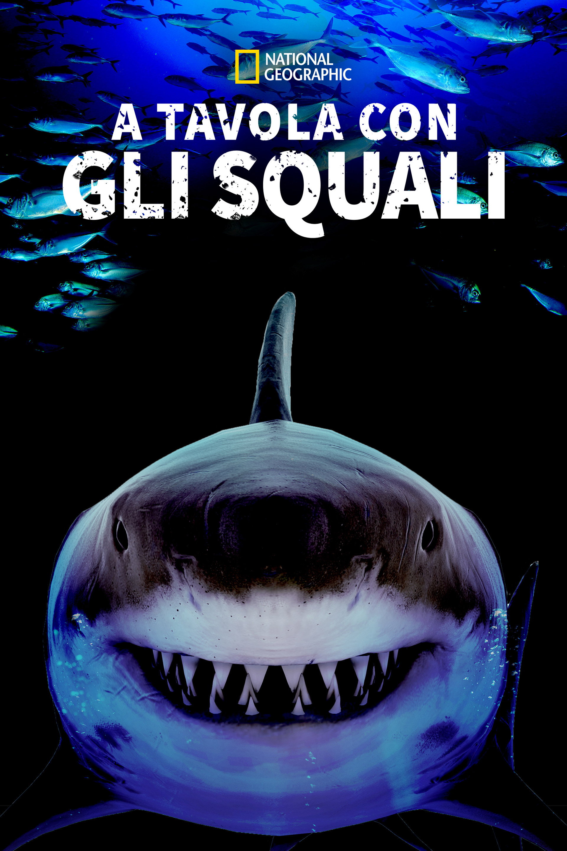 A tavola con gli squali