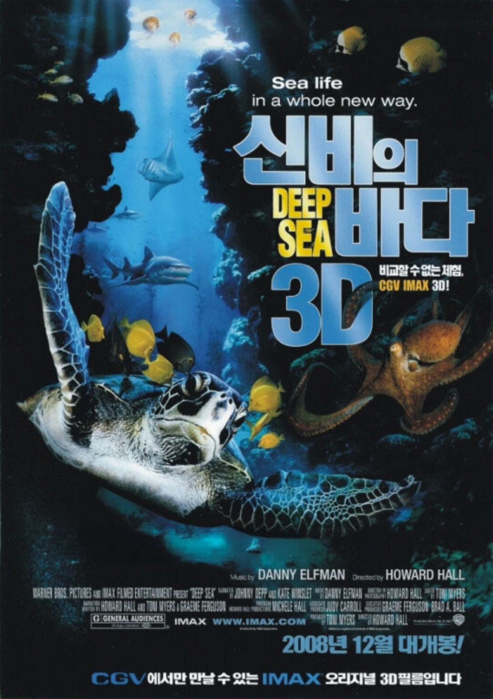 신비의 바다