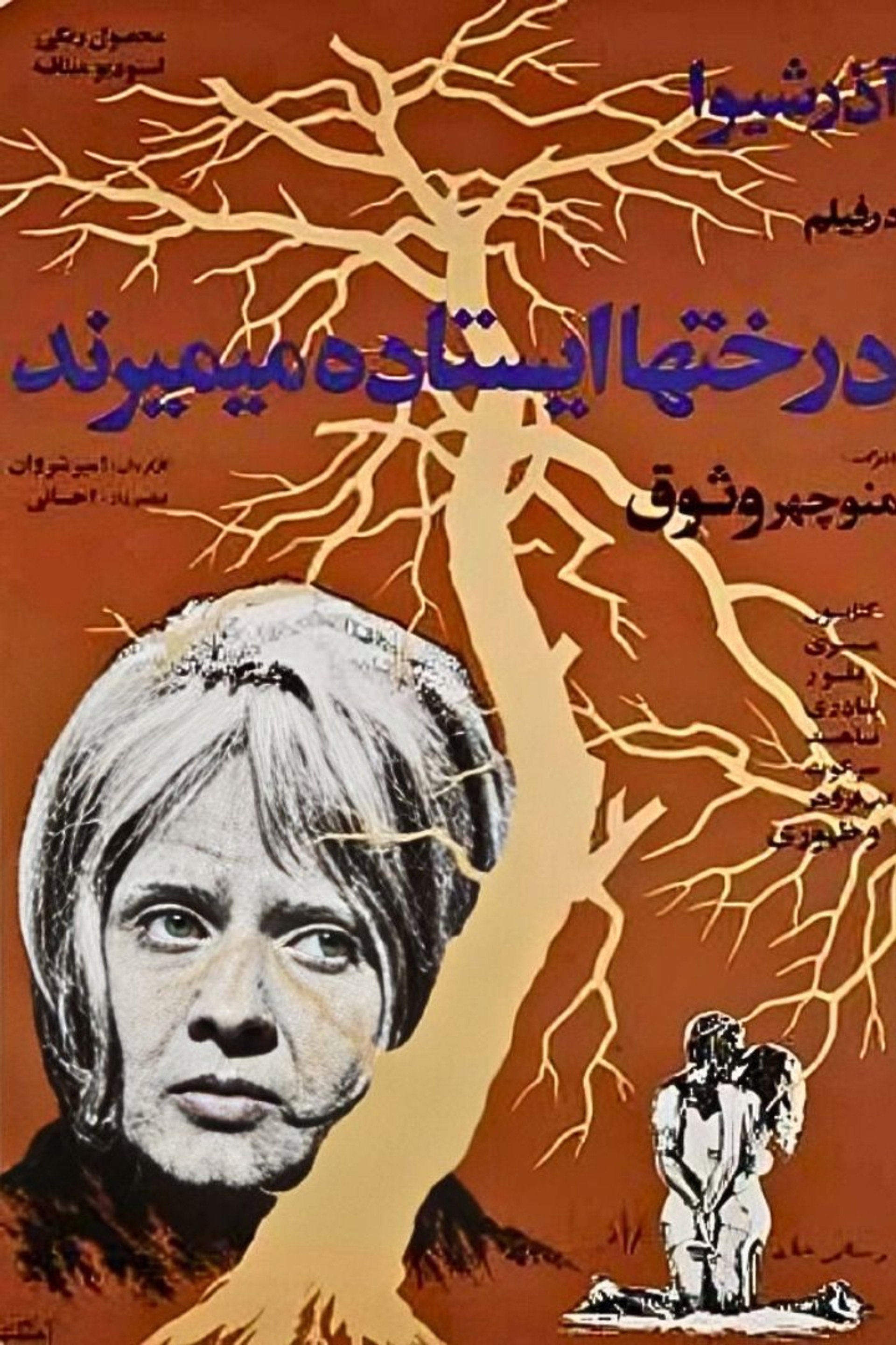 درختان ایستاده میمیرند