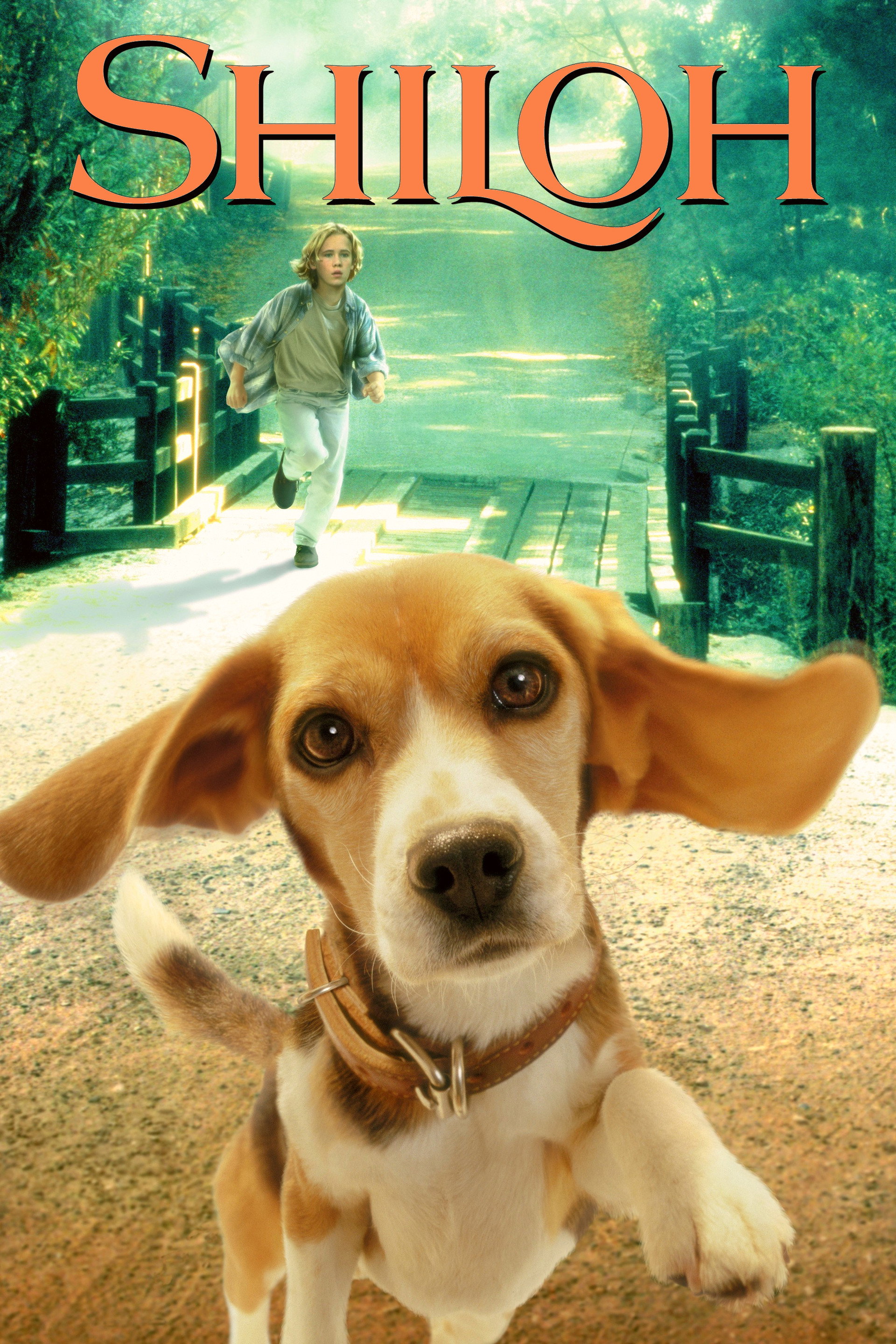 Shiloh, un cucciolo per amico