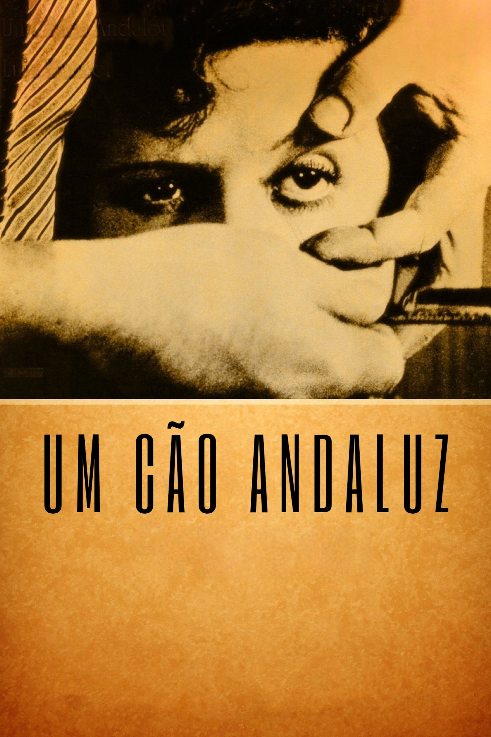 Um Cão Andaluz