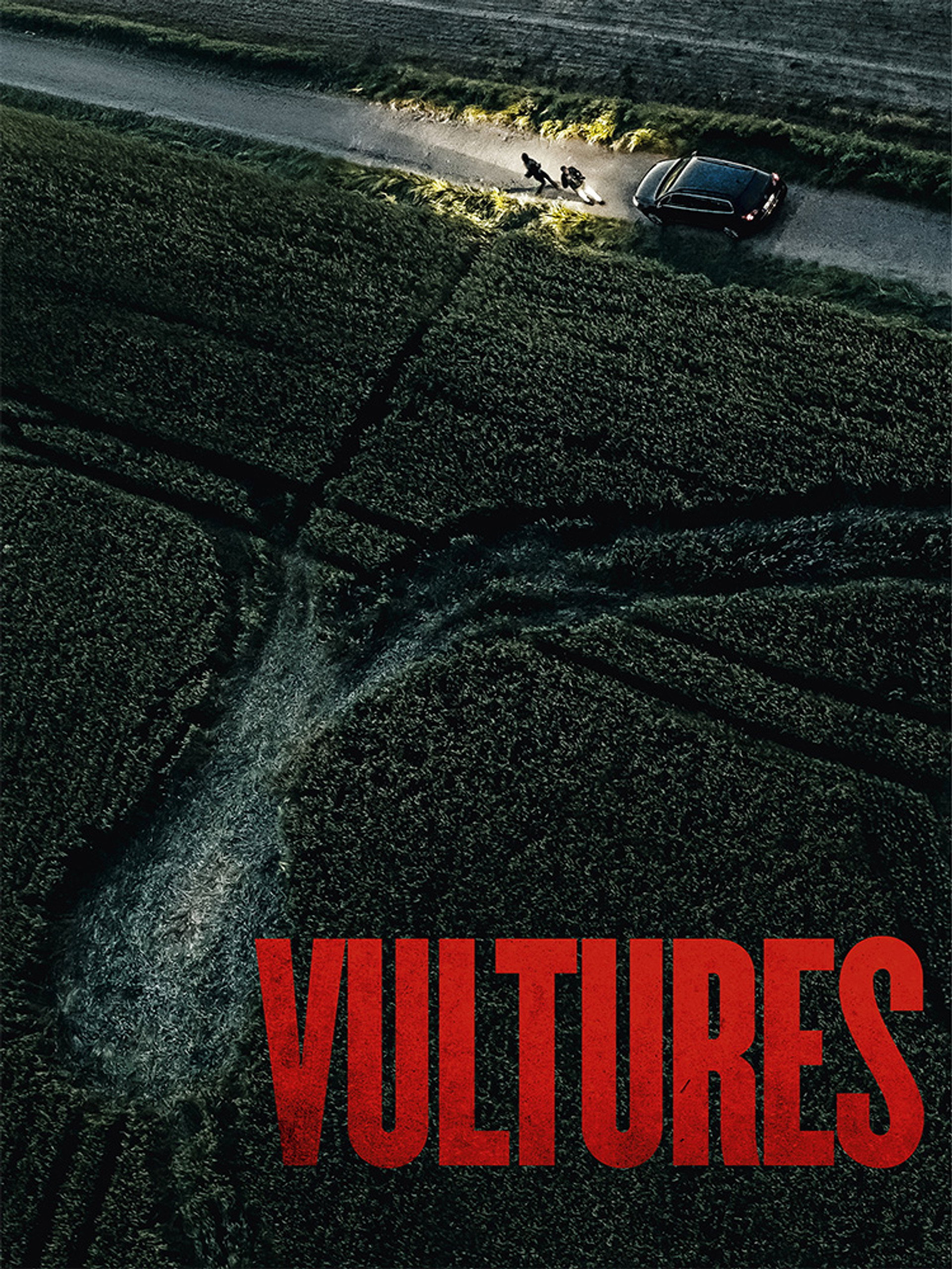 Vultures