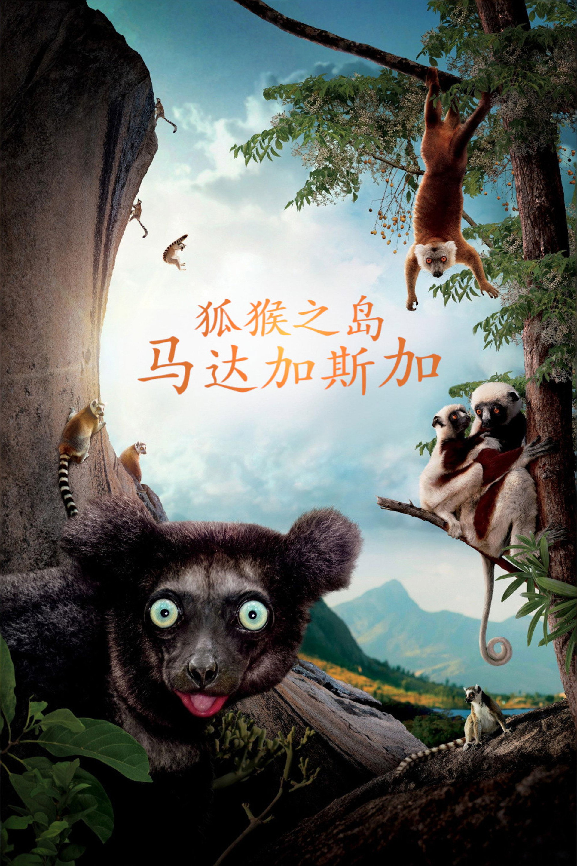 马达加斯加：狐猴之岛