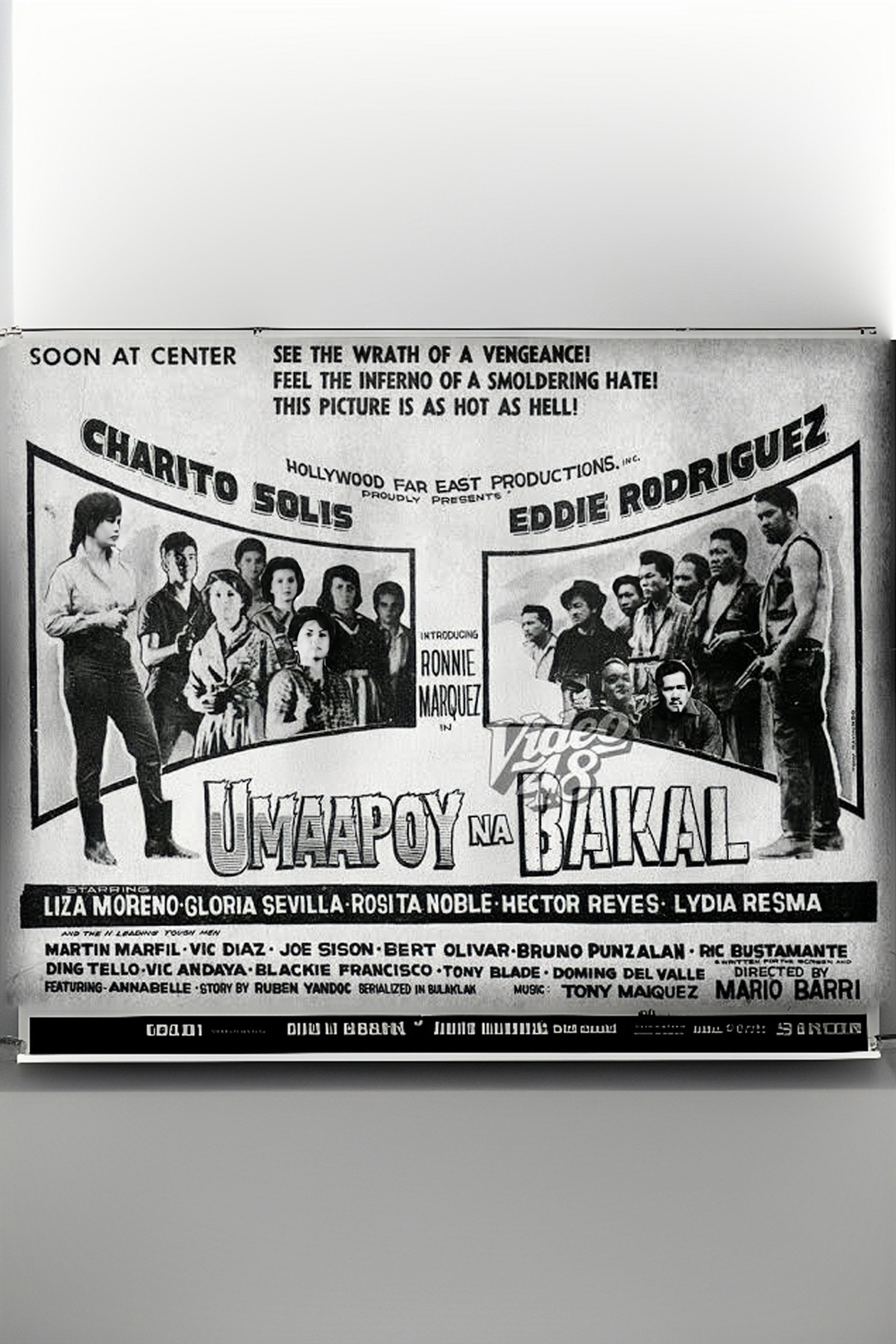 Umaapoy na Bakal