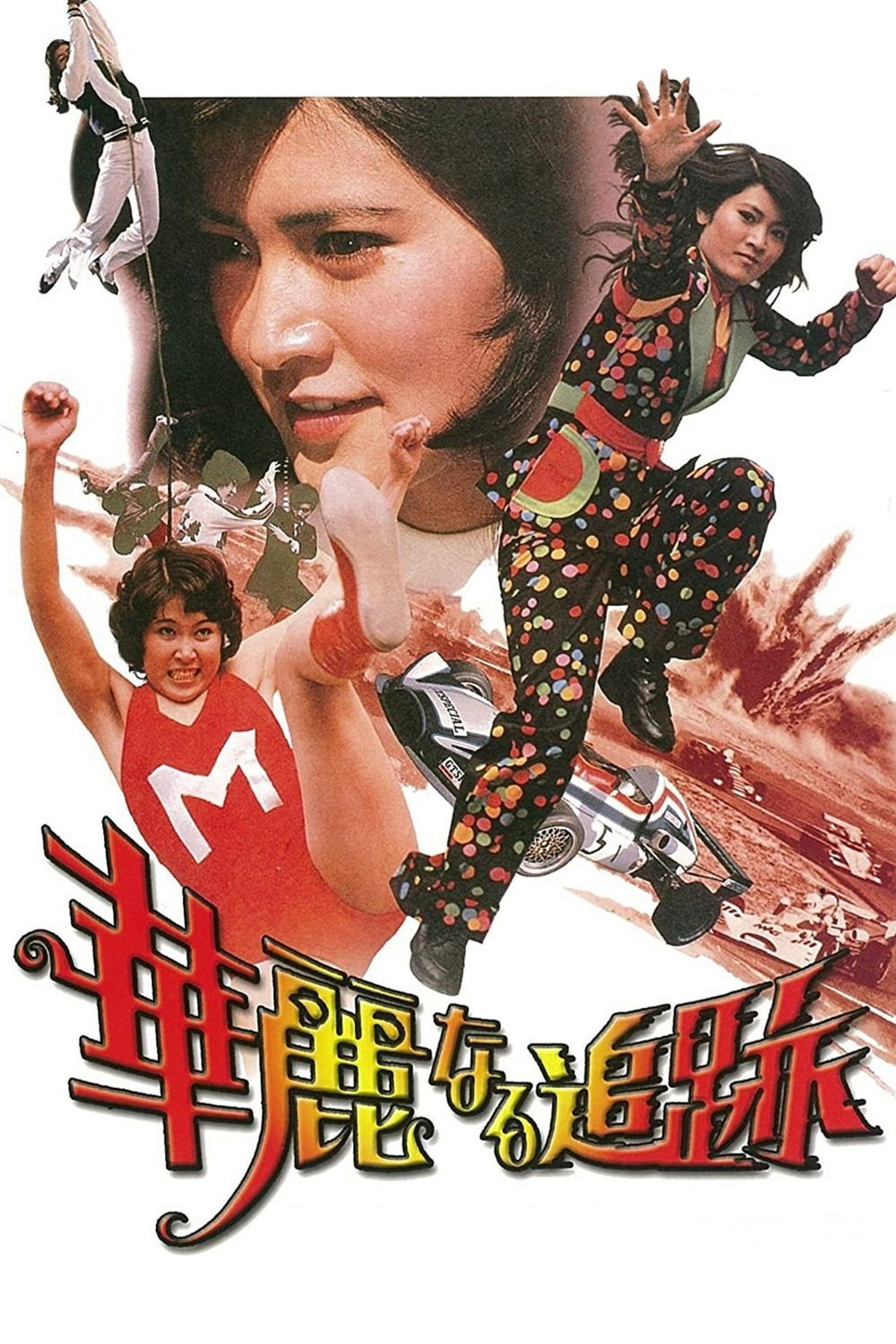 華麗なる追跡