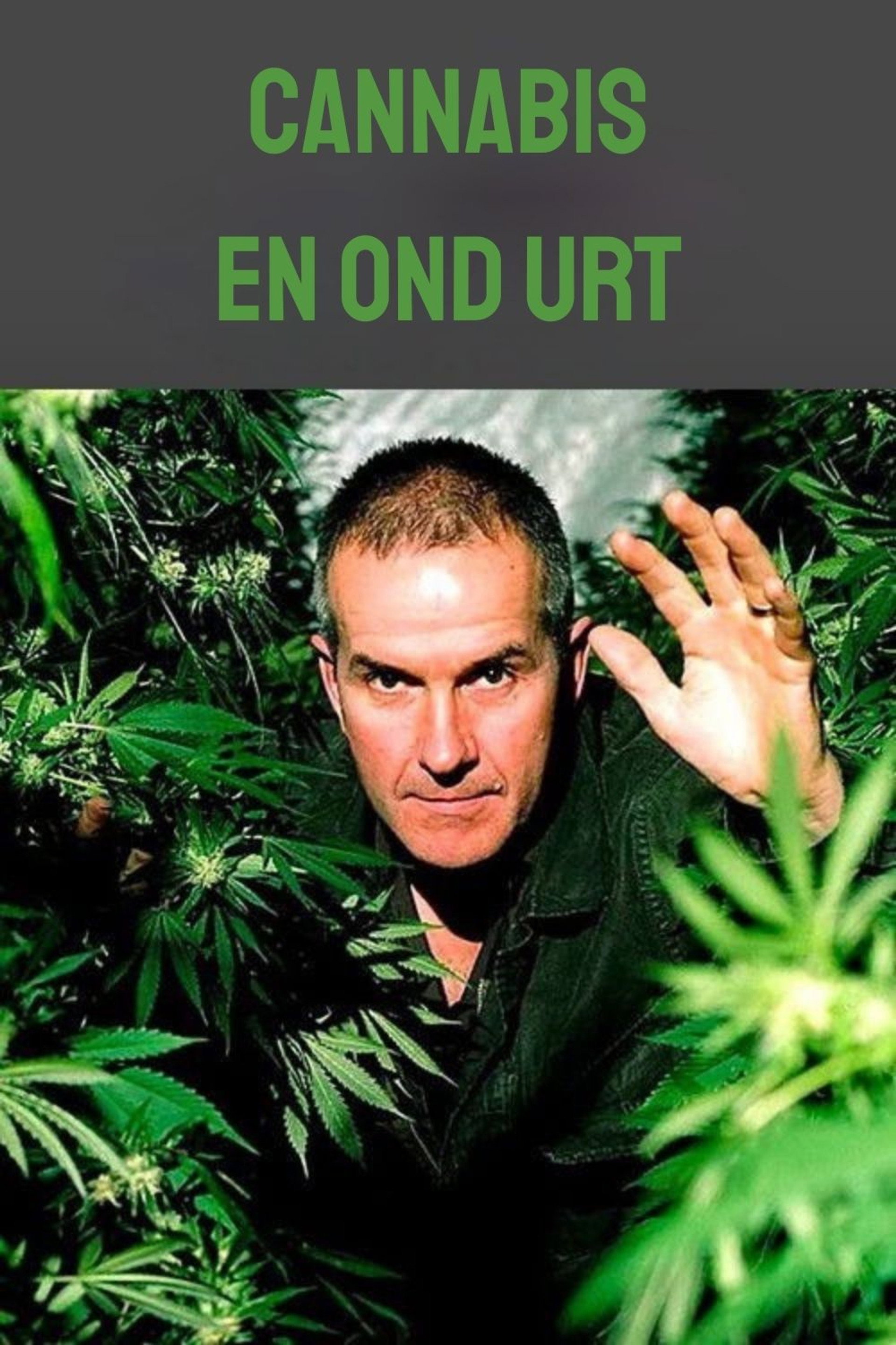 Cannabis - En ond urt