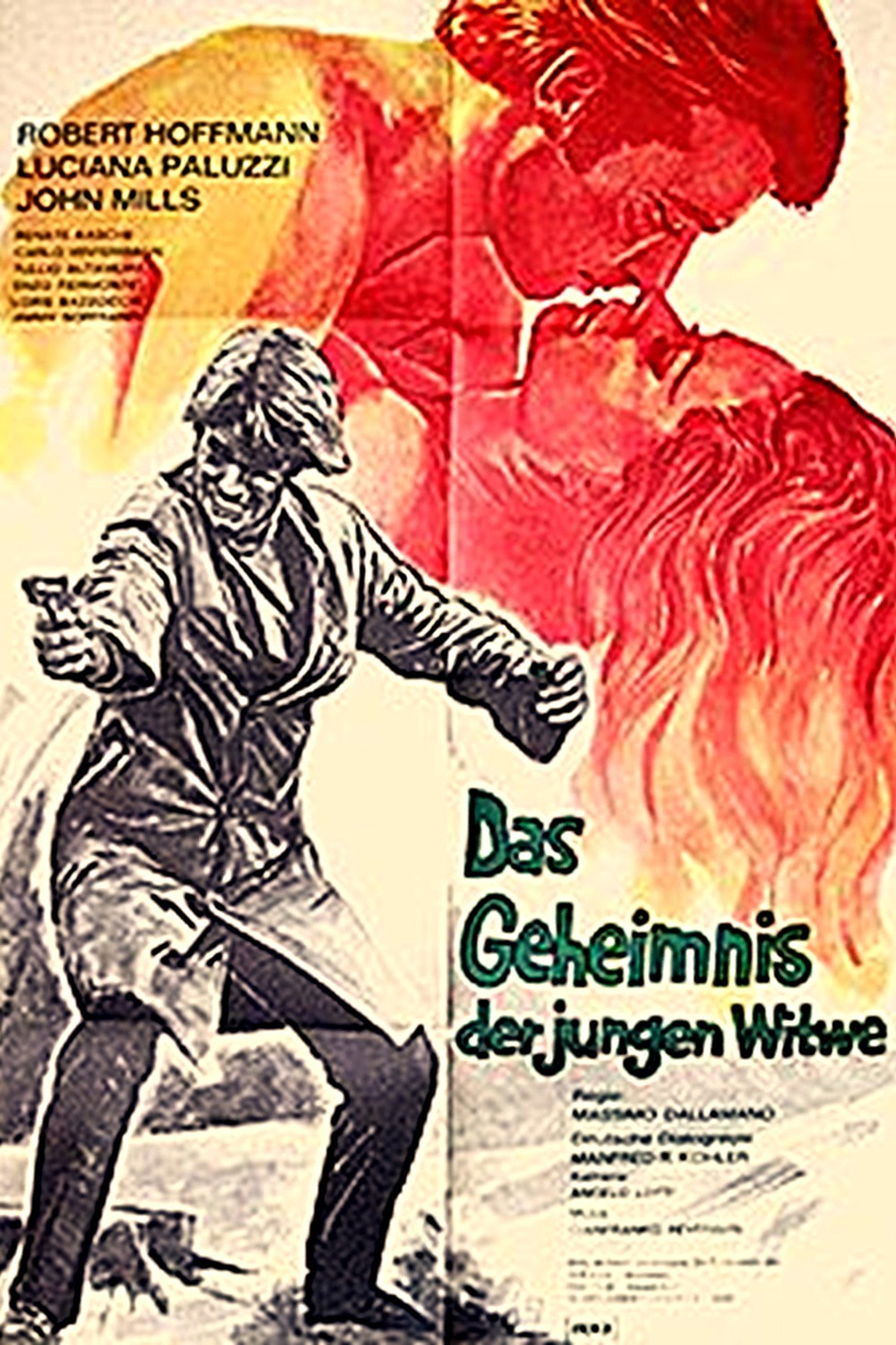 Das Geheimnis der jungen Witwe