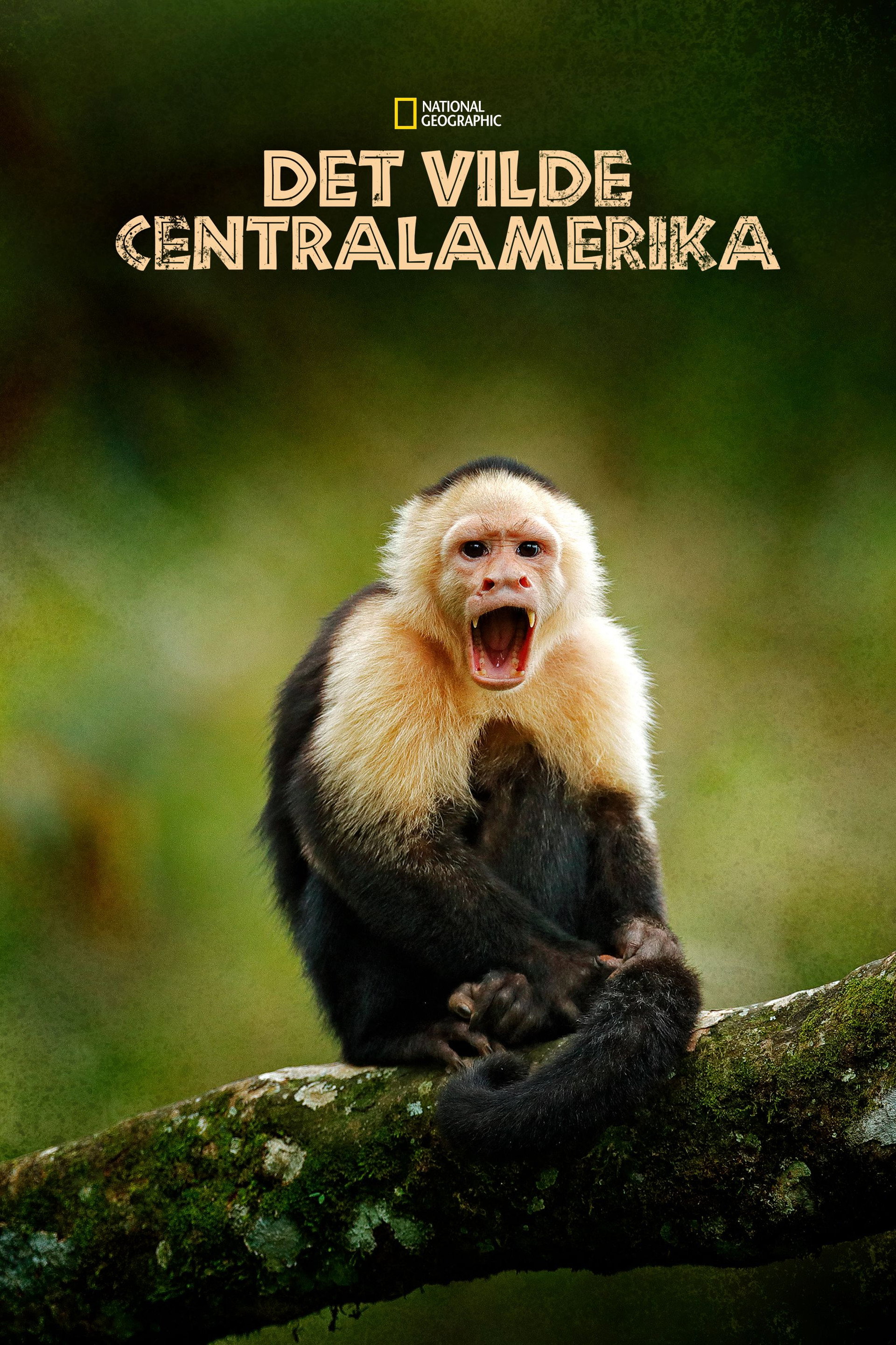 Det vilde Centralamerika