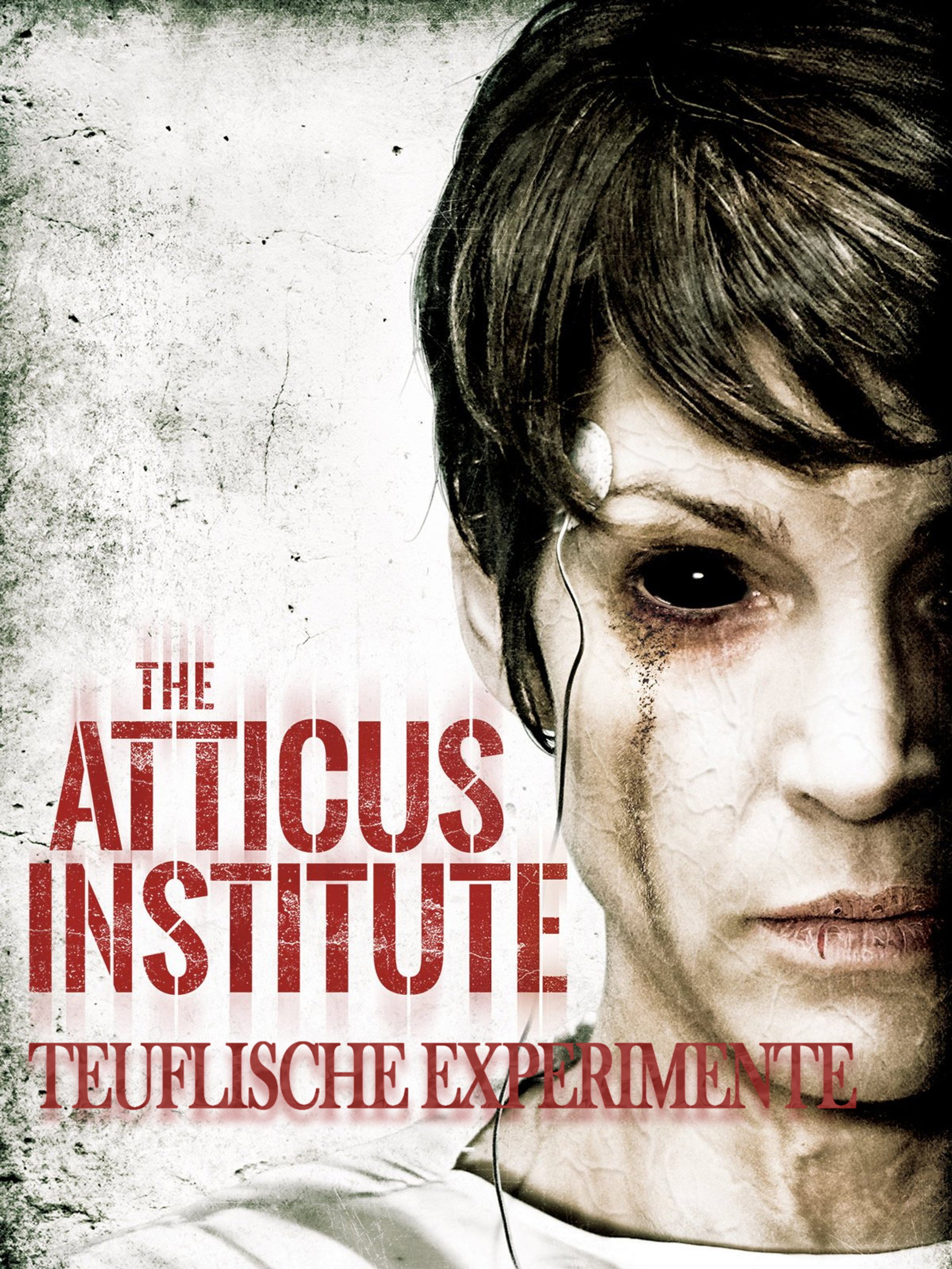 The Atticus Institute