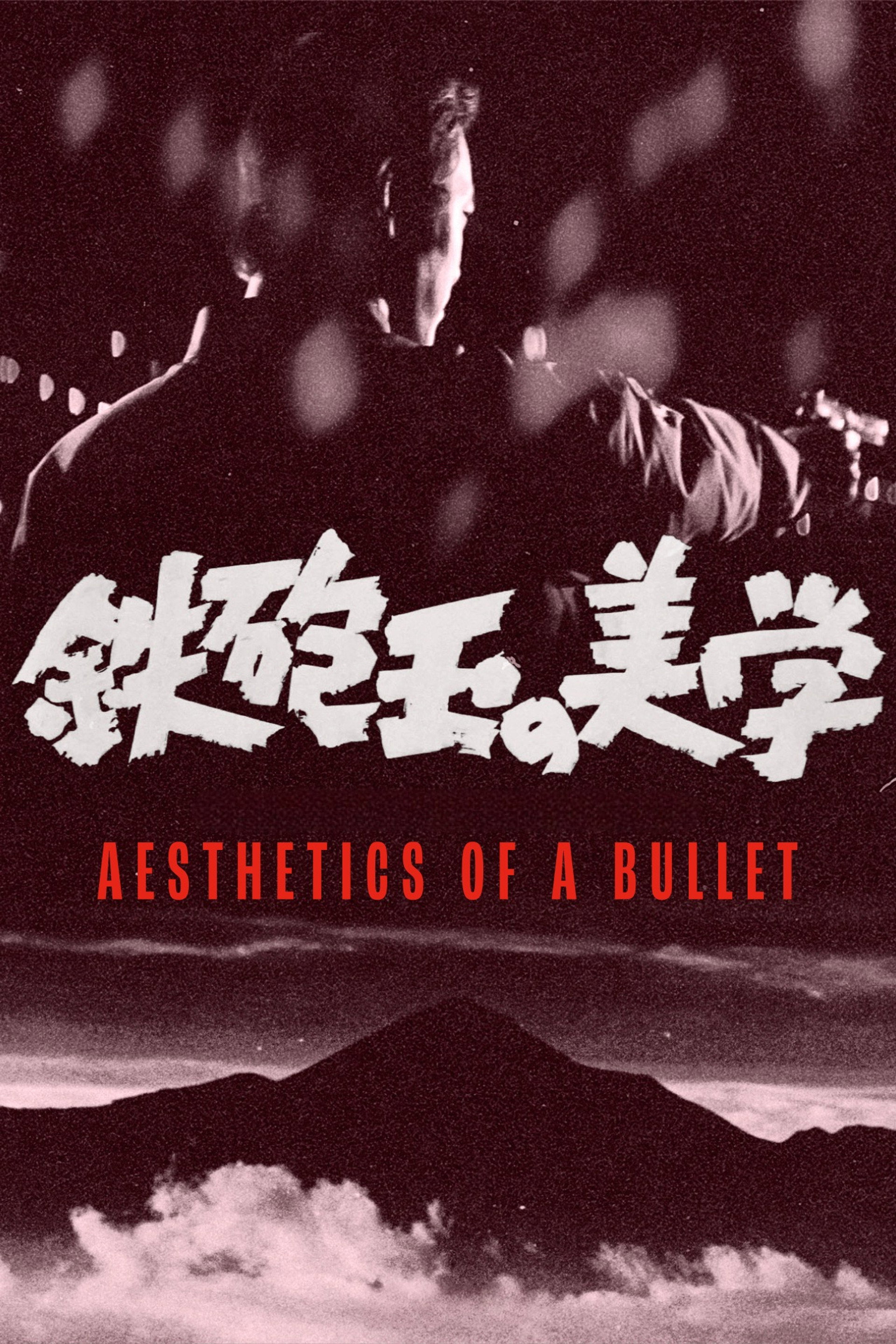 Aesthetics of a Bullet