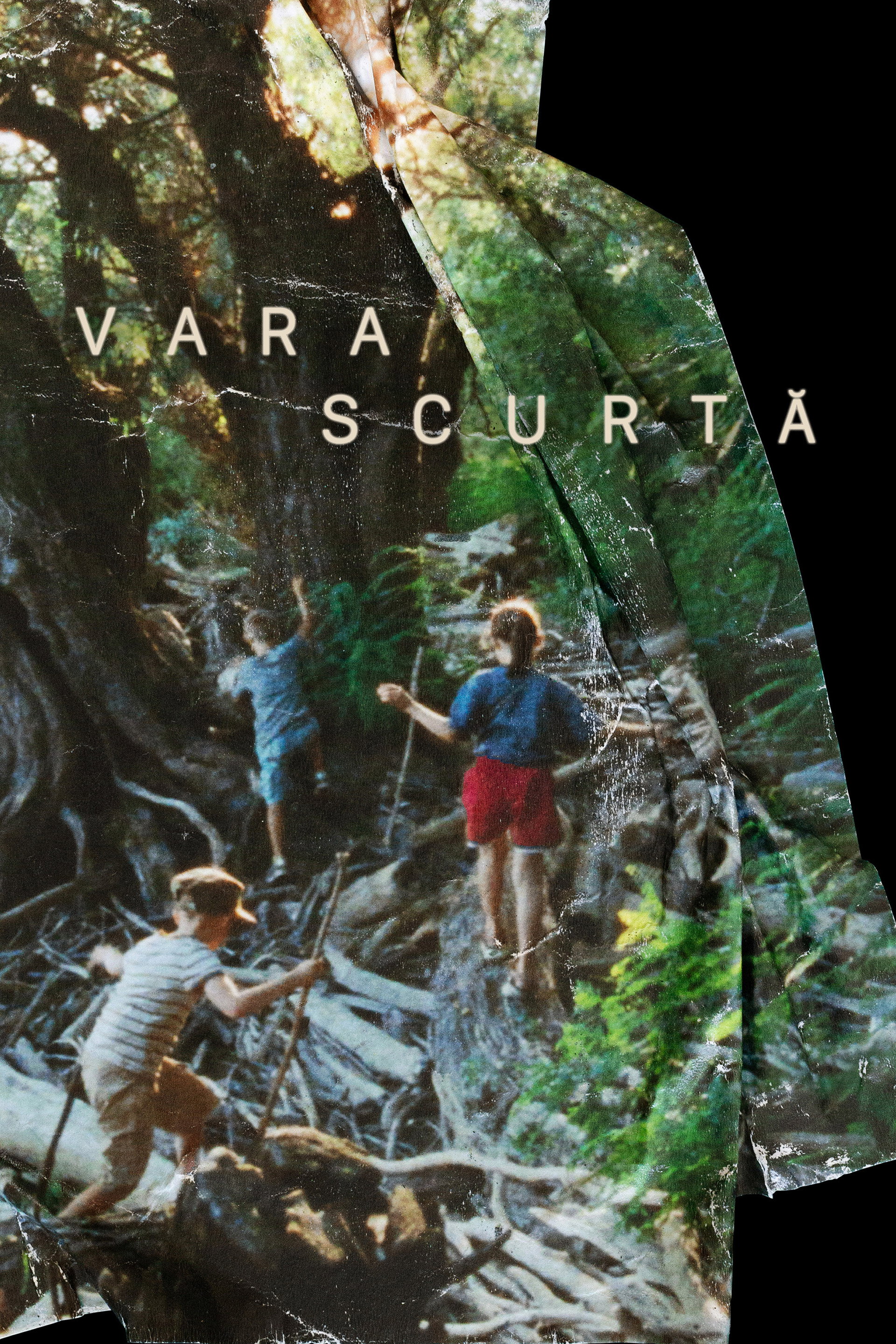 Vara scurtă
