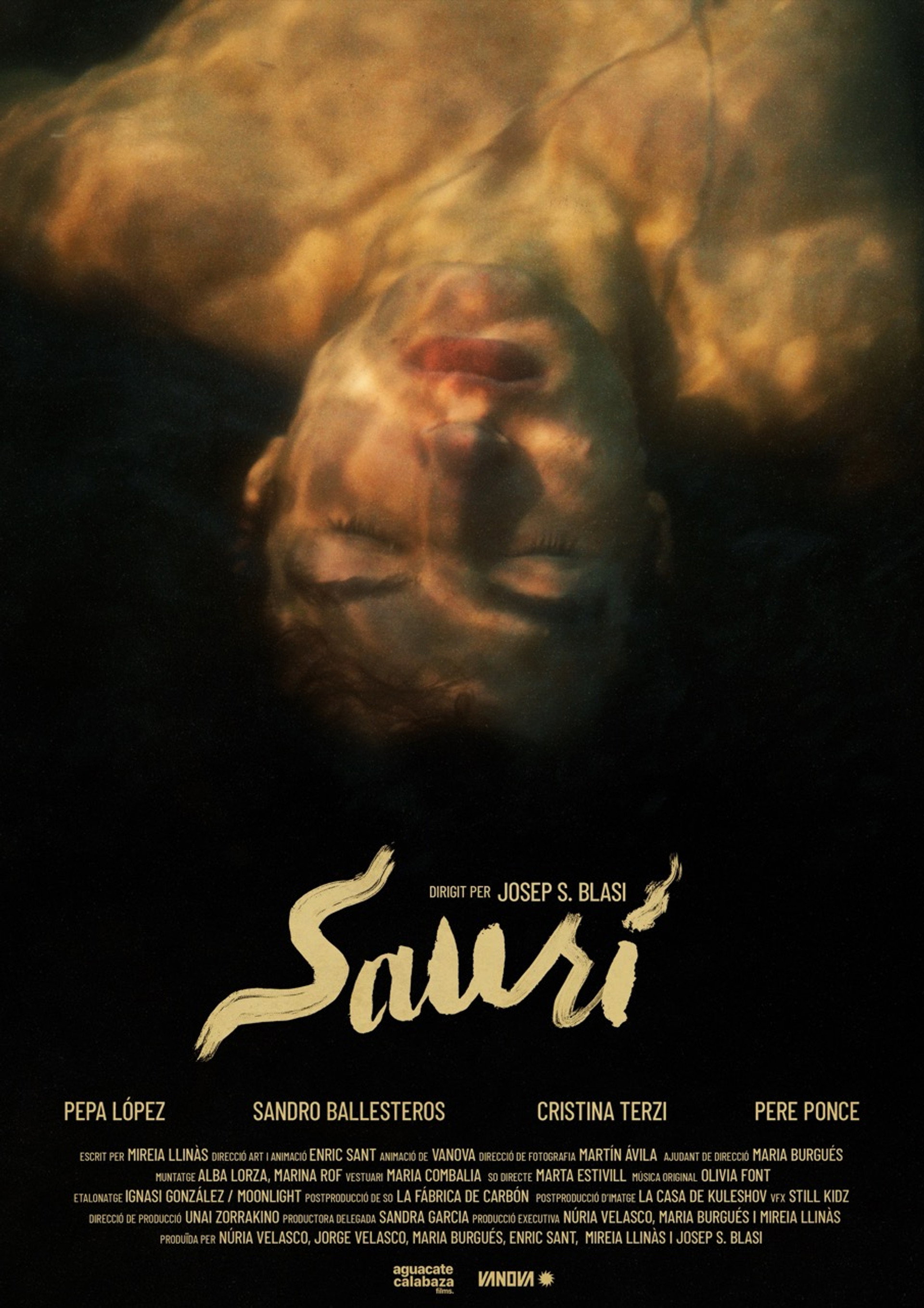 Saurí