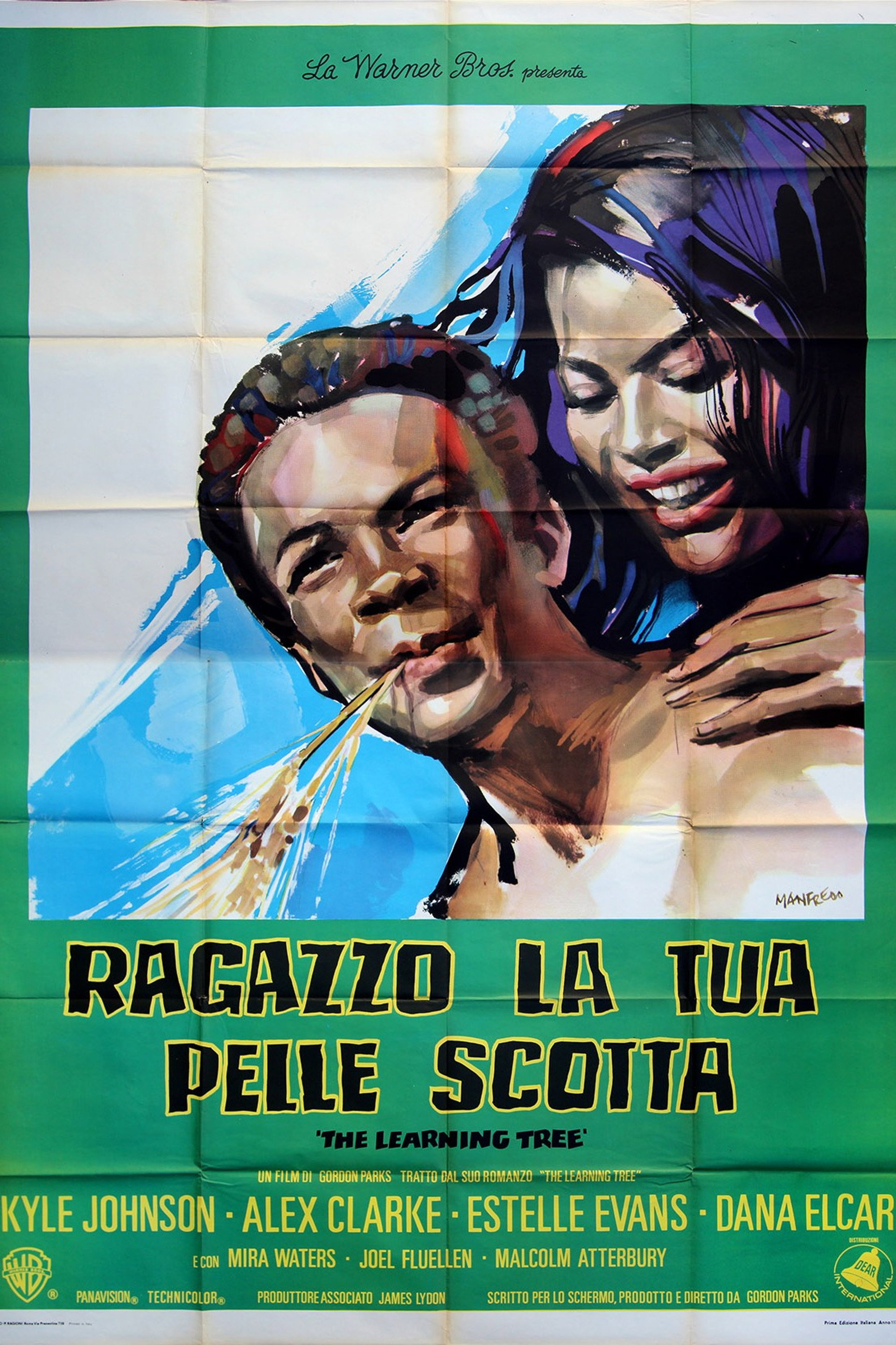 Ragazzo la tua pelle scotta