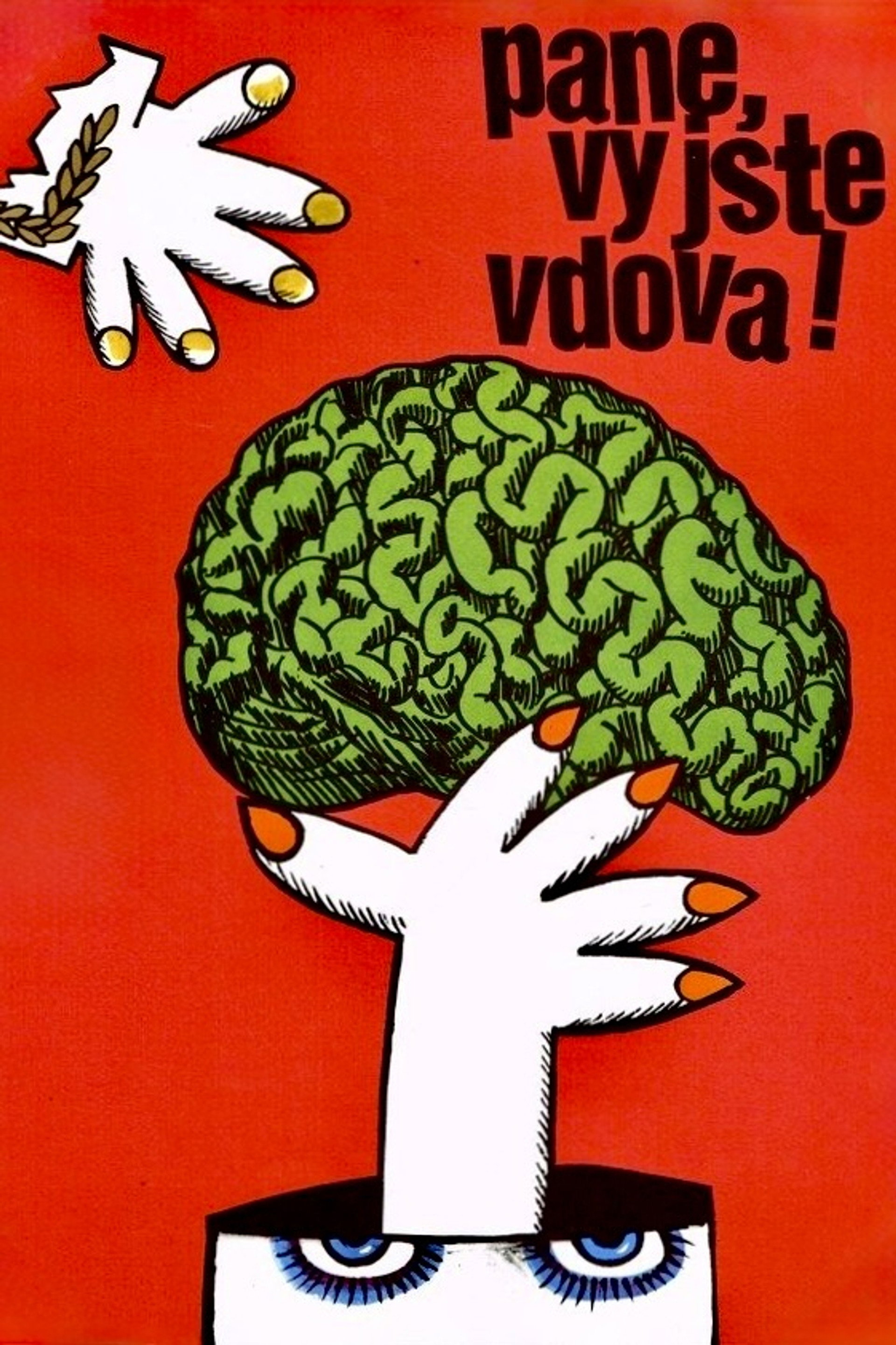 „Pane, vy jste vdova!“
