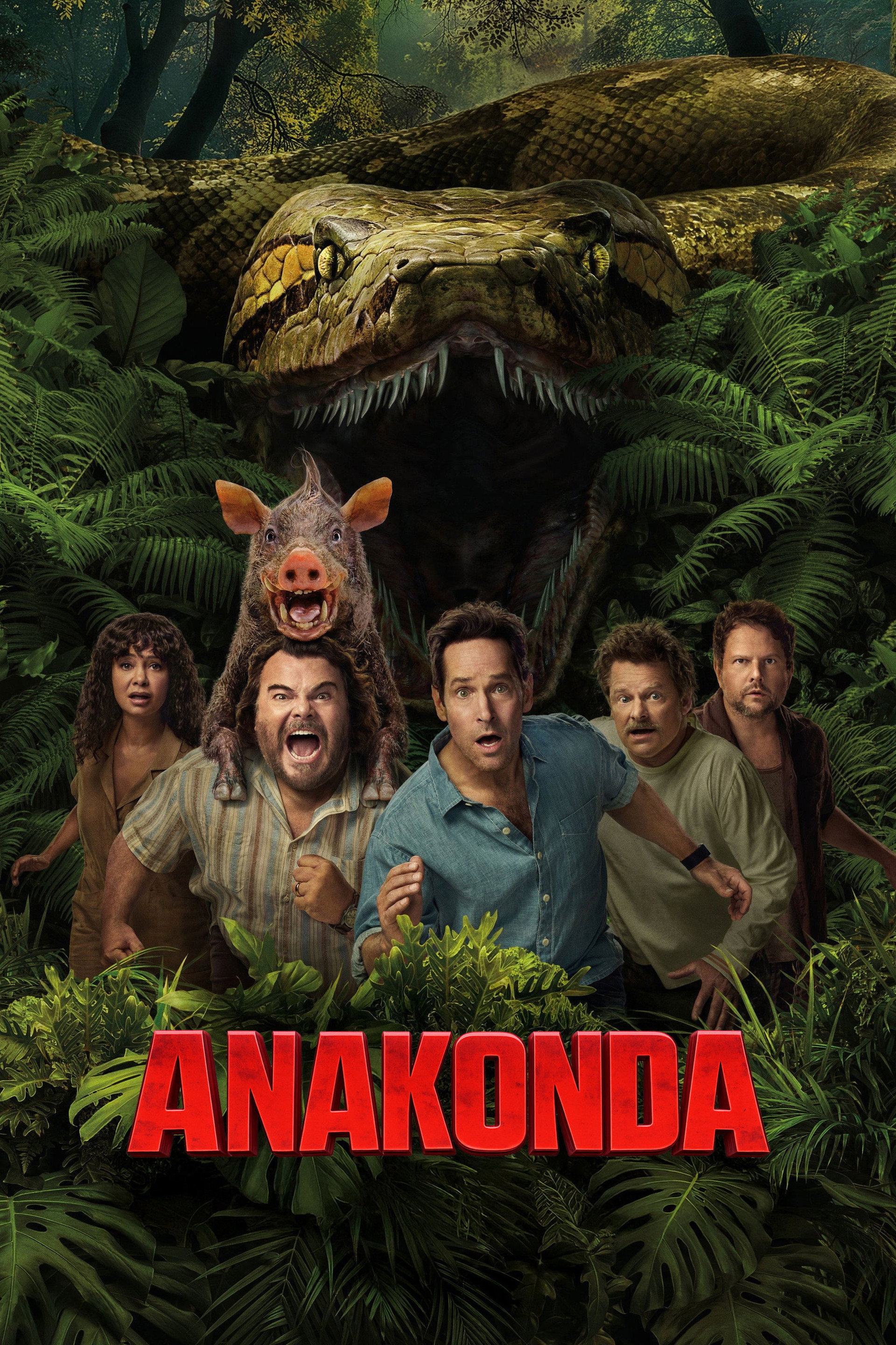 Anakonda
