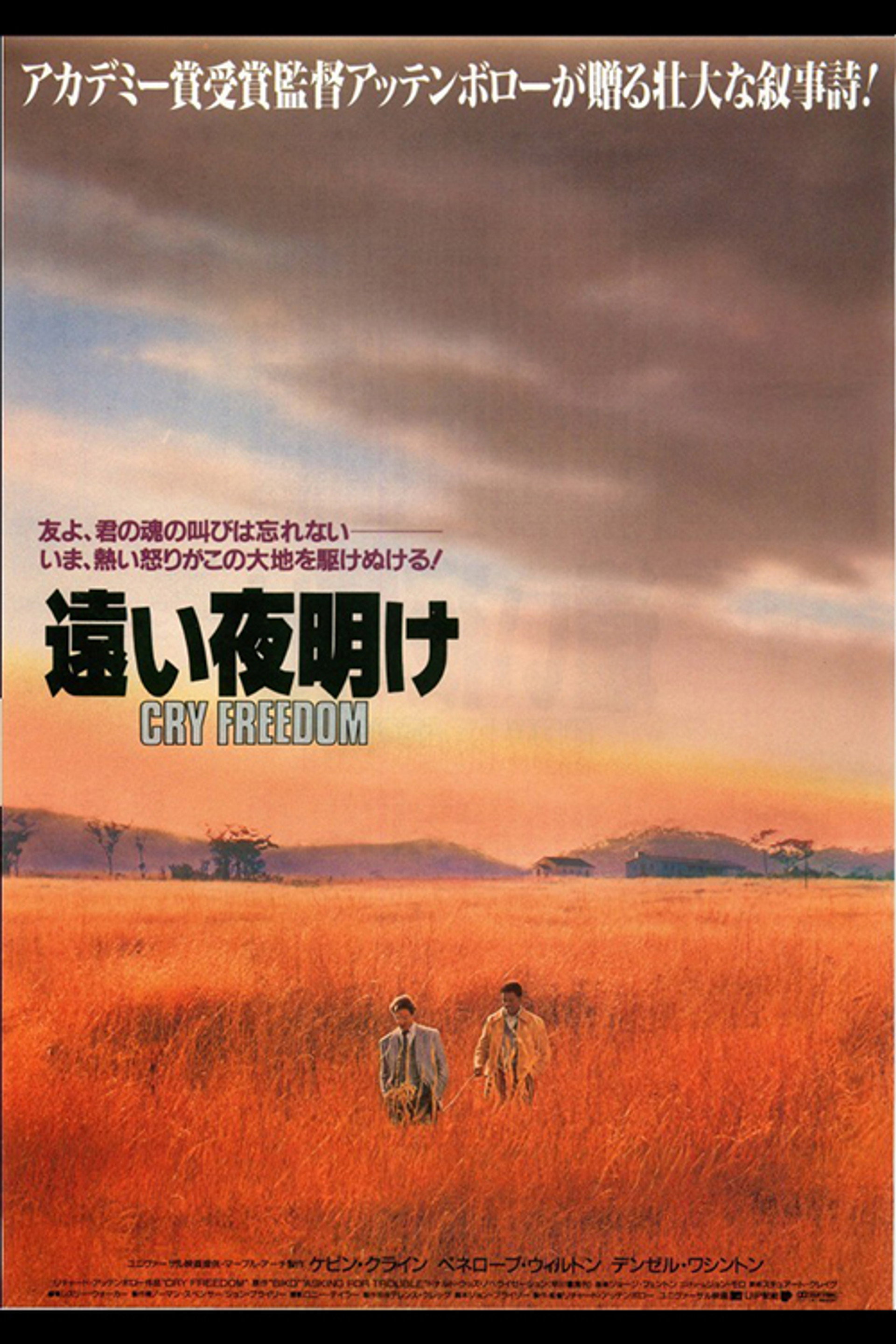 遠い夜明け