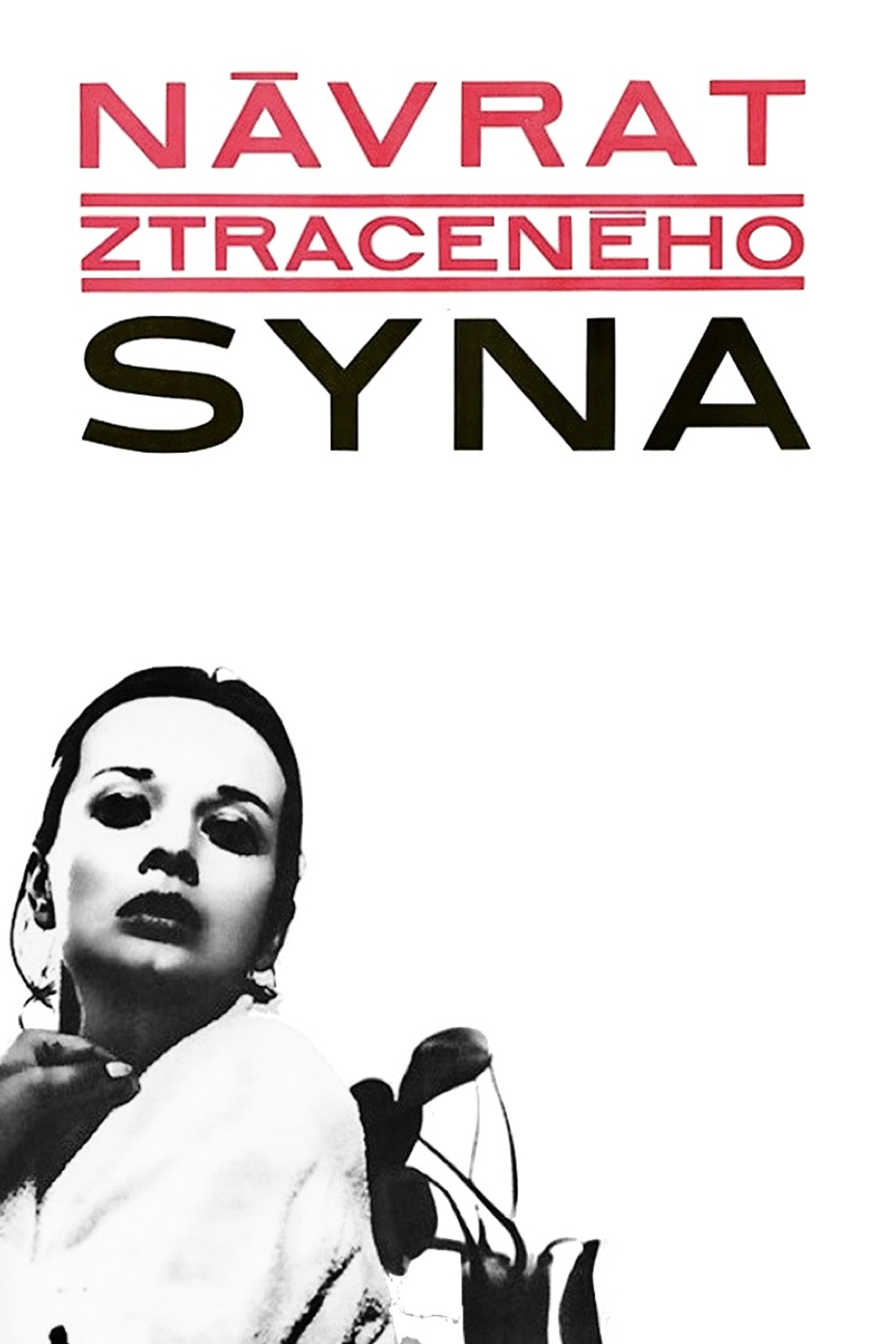 Návrat ztraceného syna