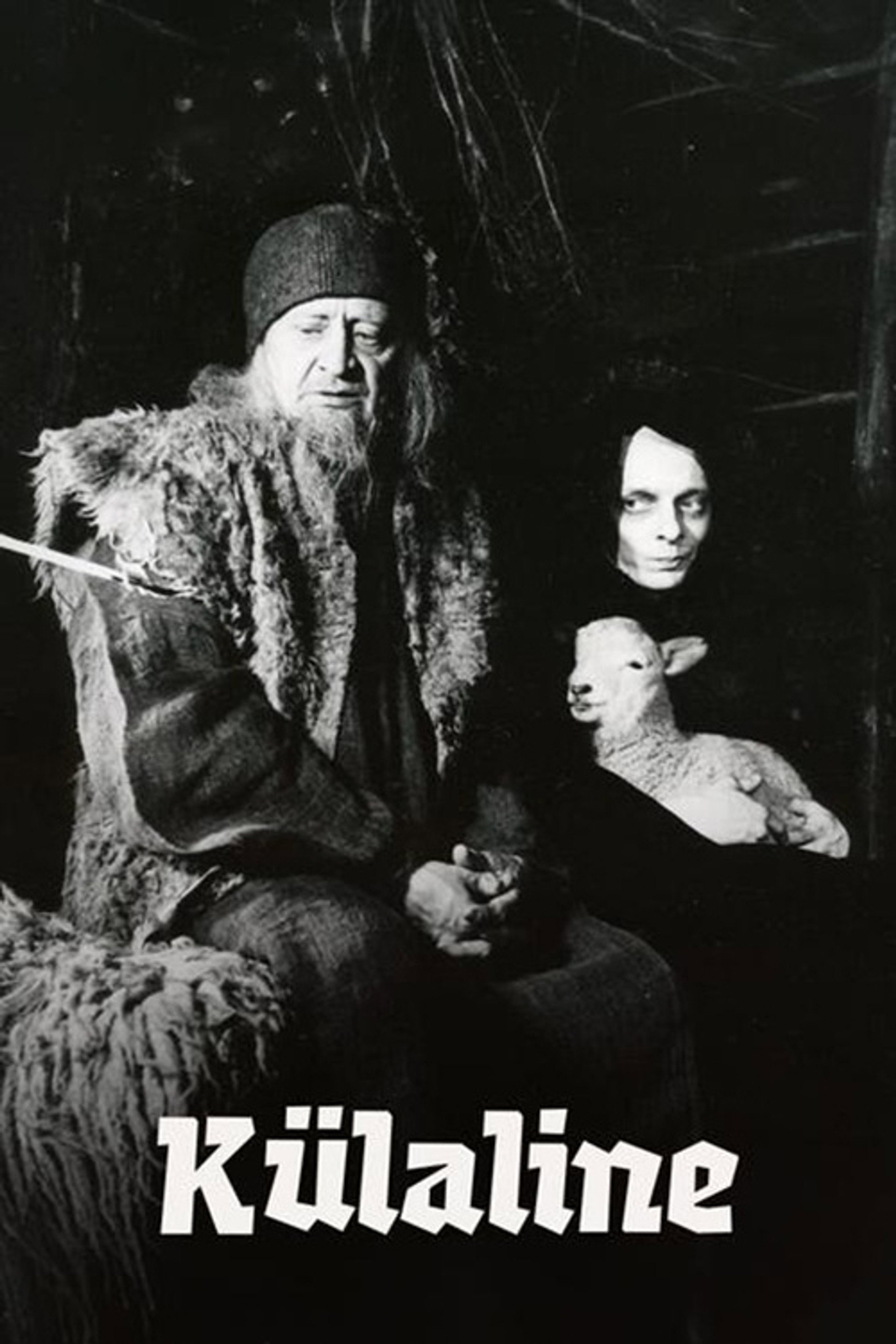 The Visitor