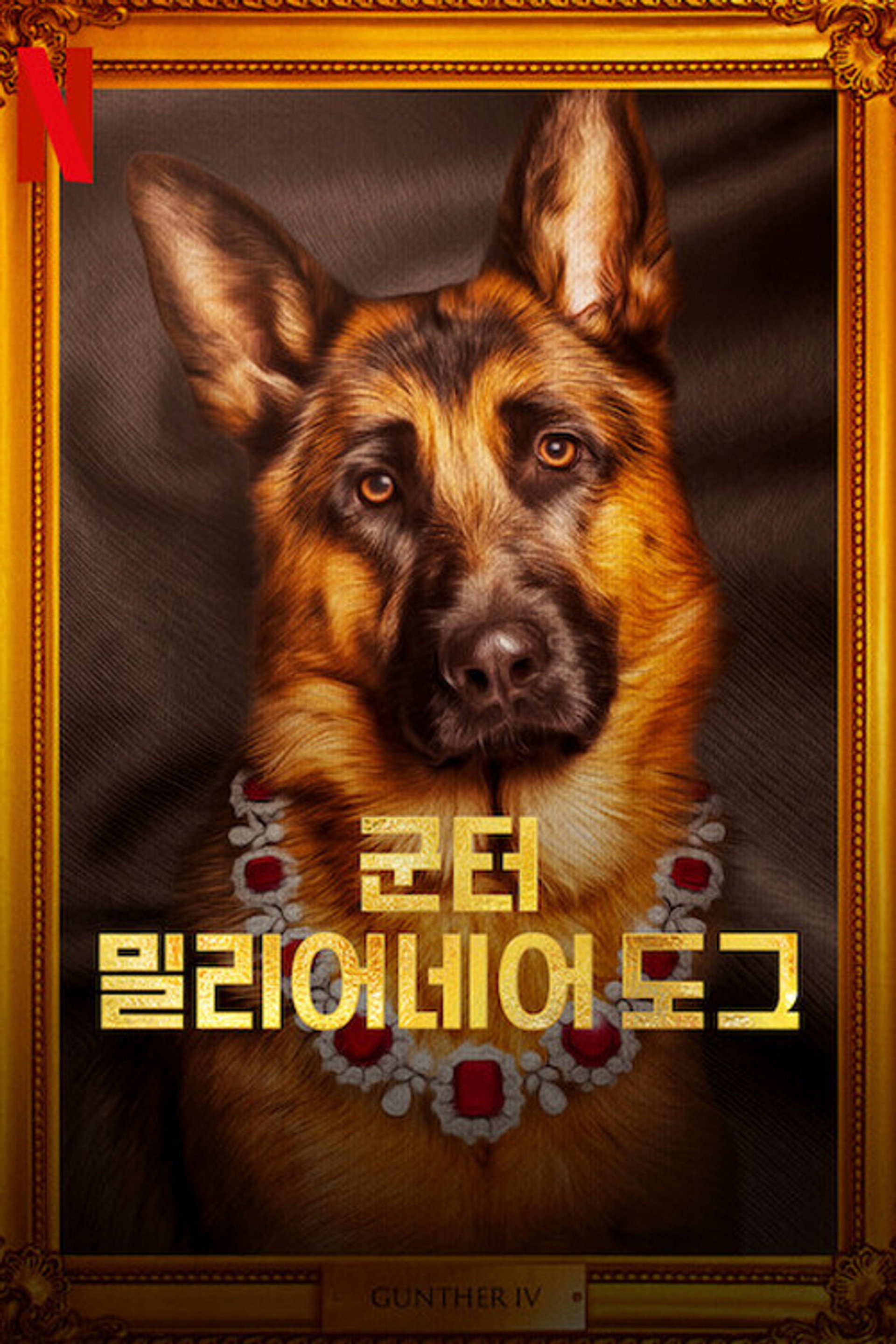 군터, 밀리어네어 도그