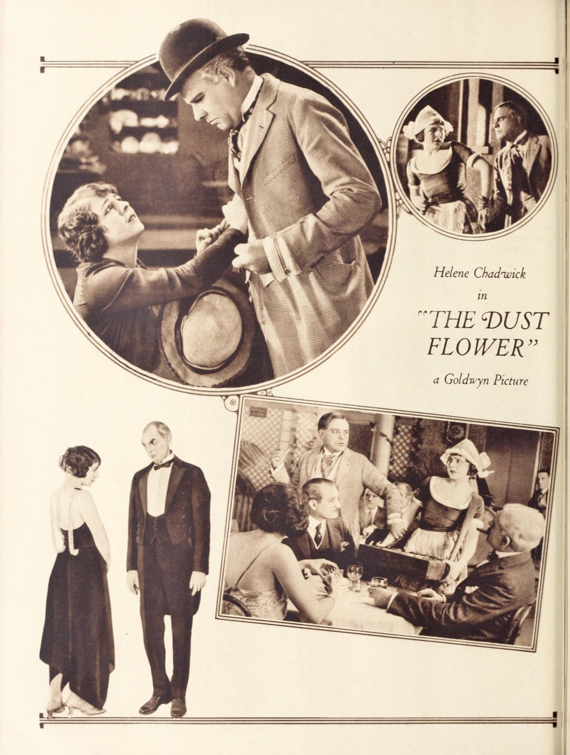 The Dust Flower