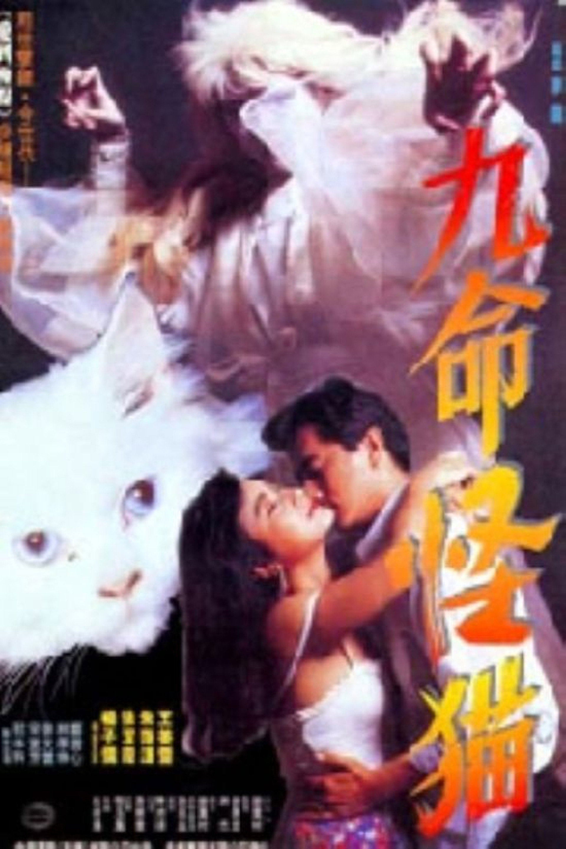 九命怪貓