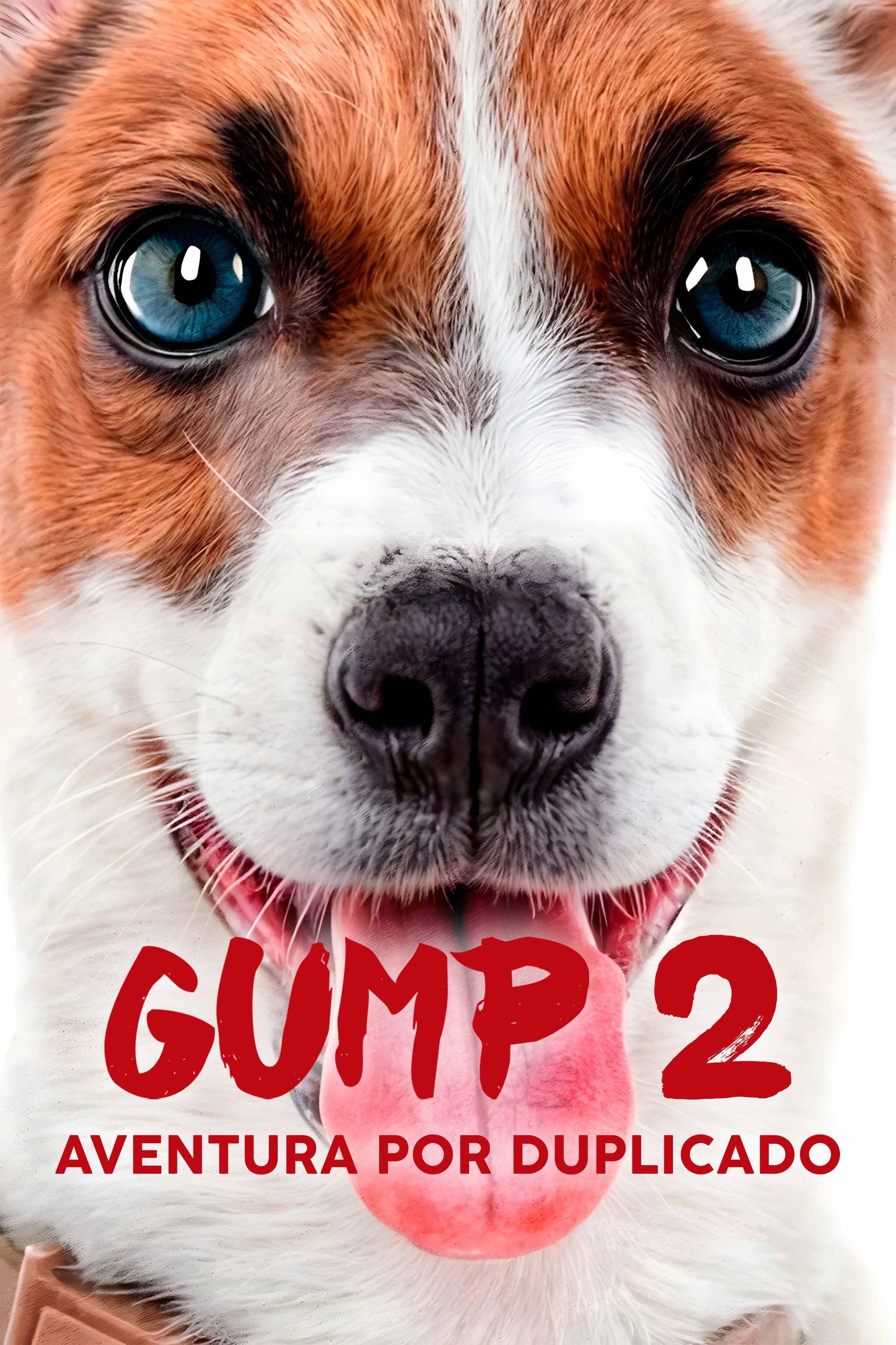 Gump 2: Aventura Por Duplicado