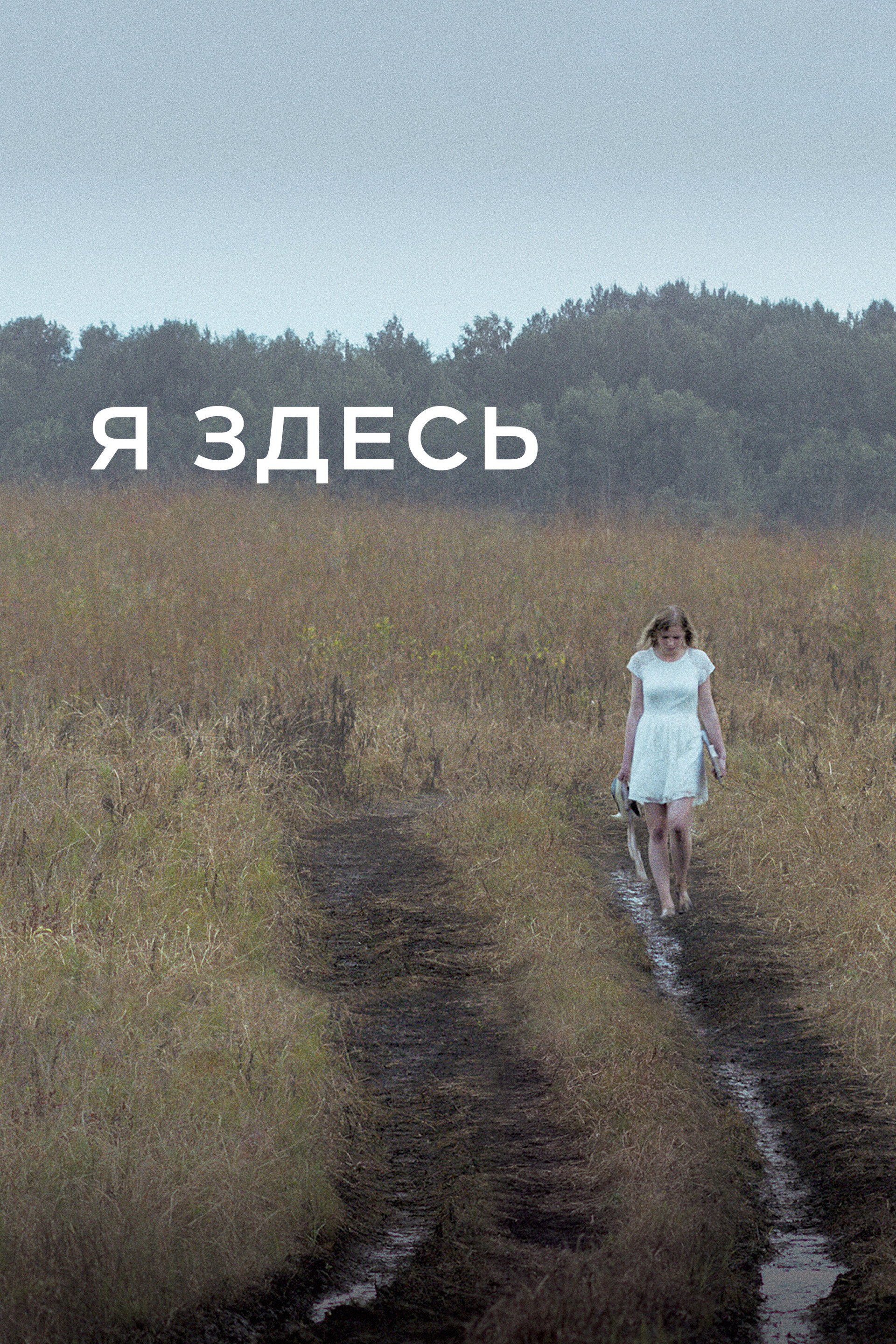 Я здесь