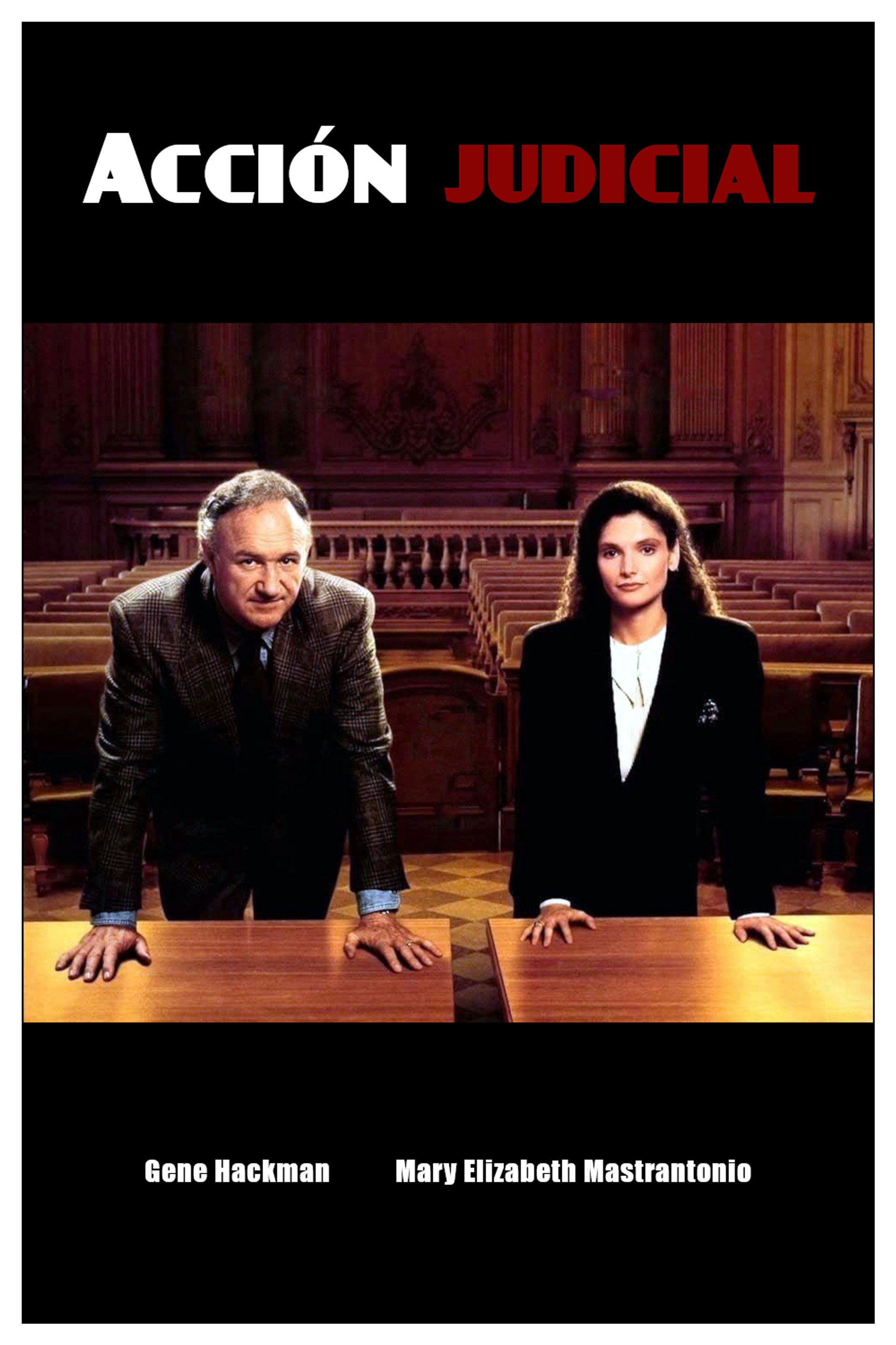 Acción judicial