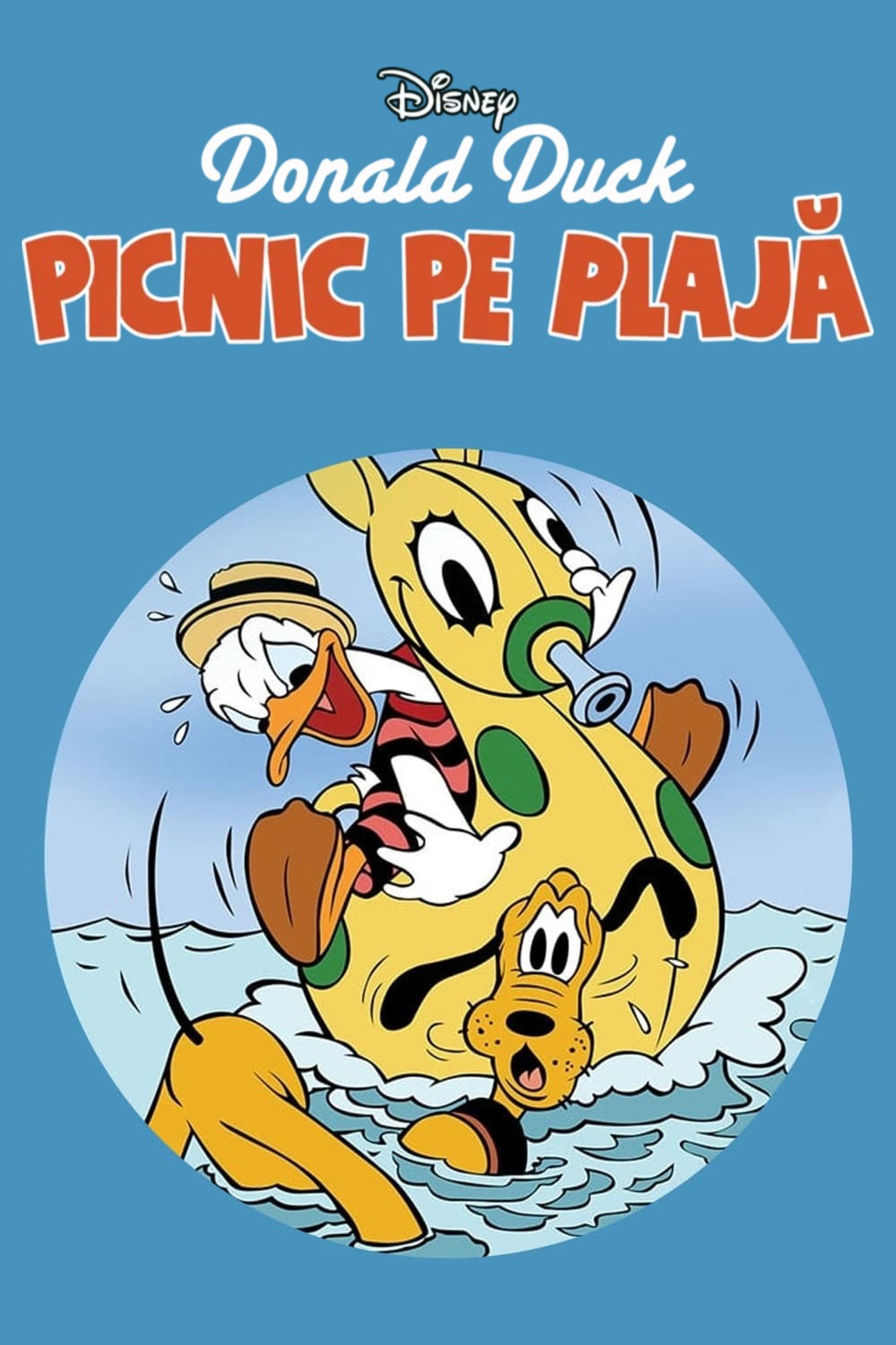 Beach Picnic