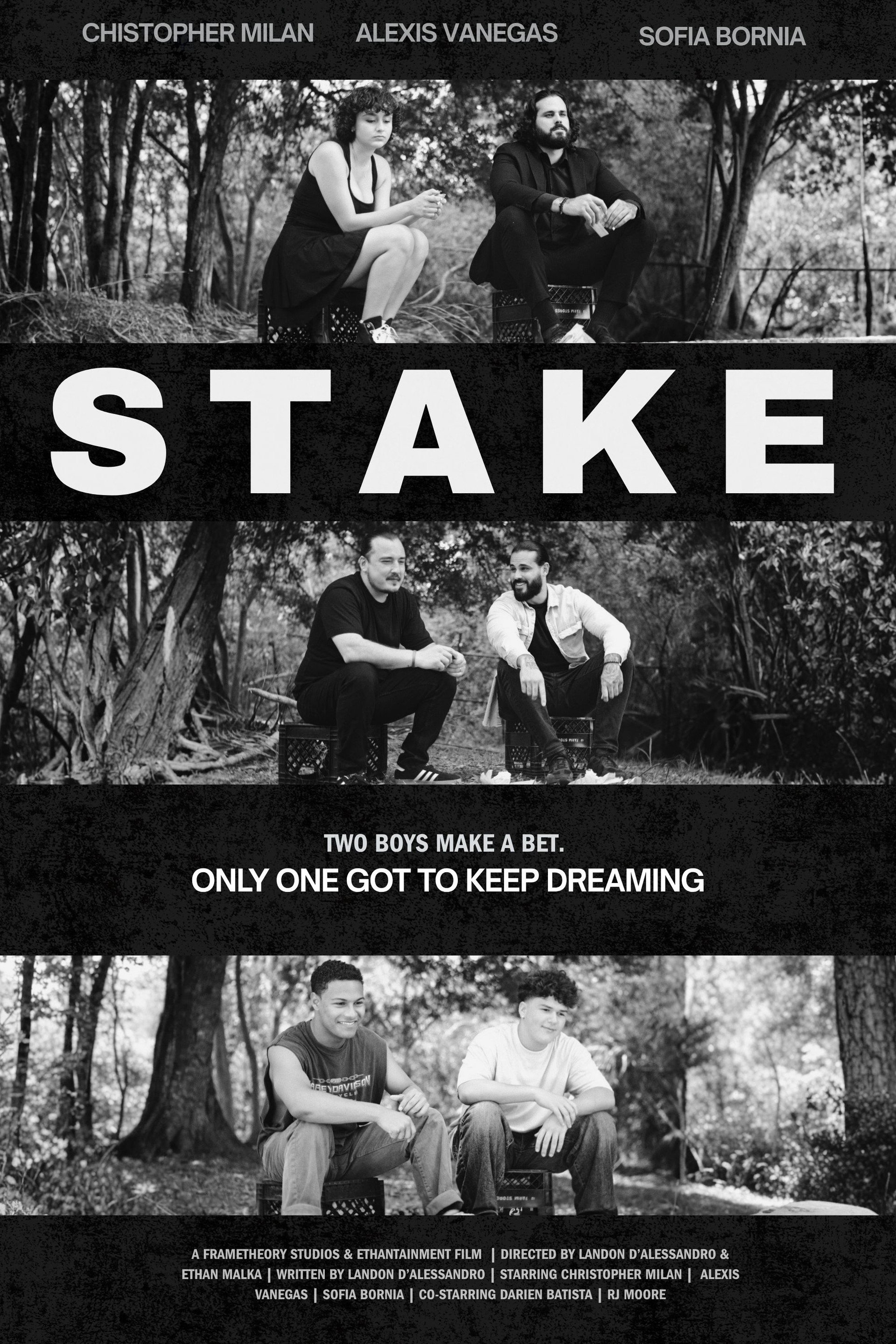 Stake