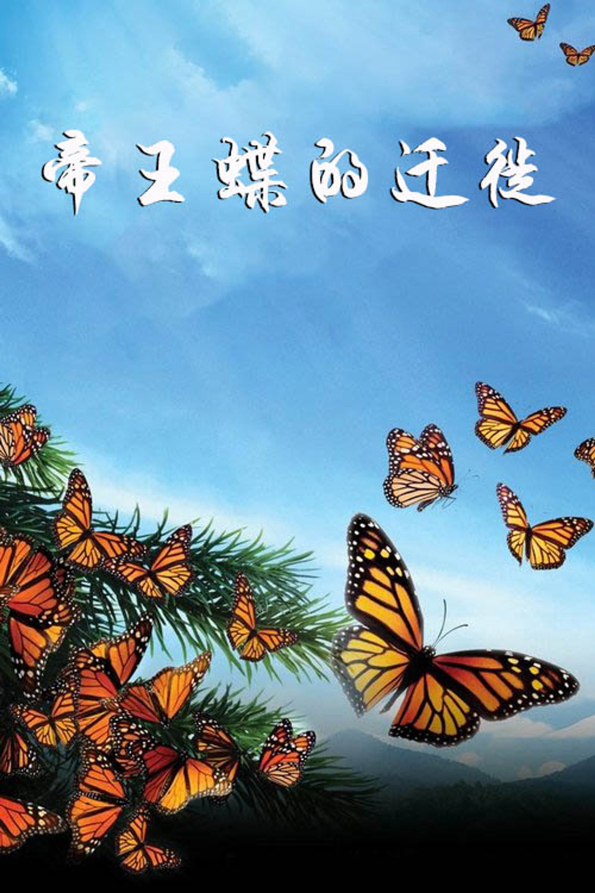 帝王蝶的迁徙