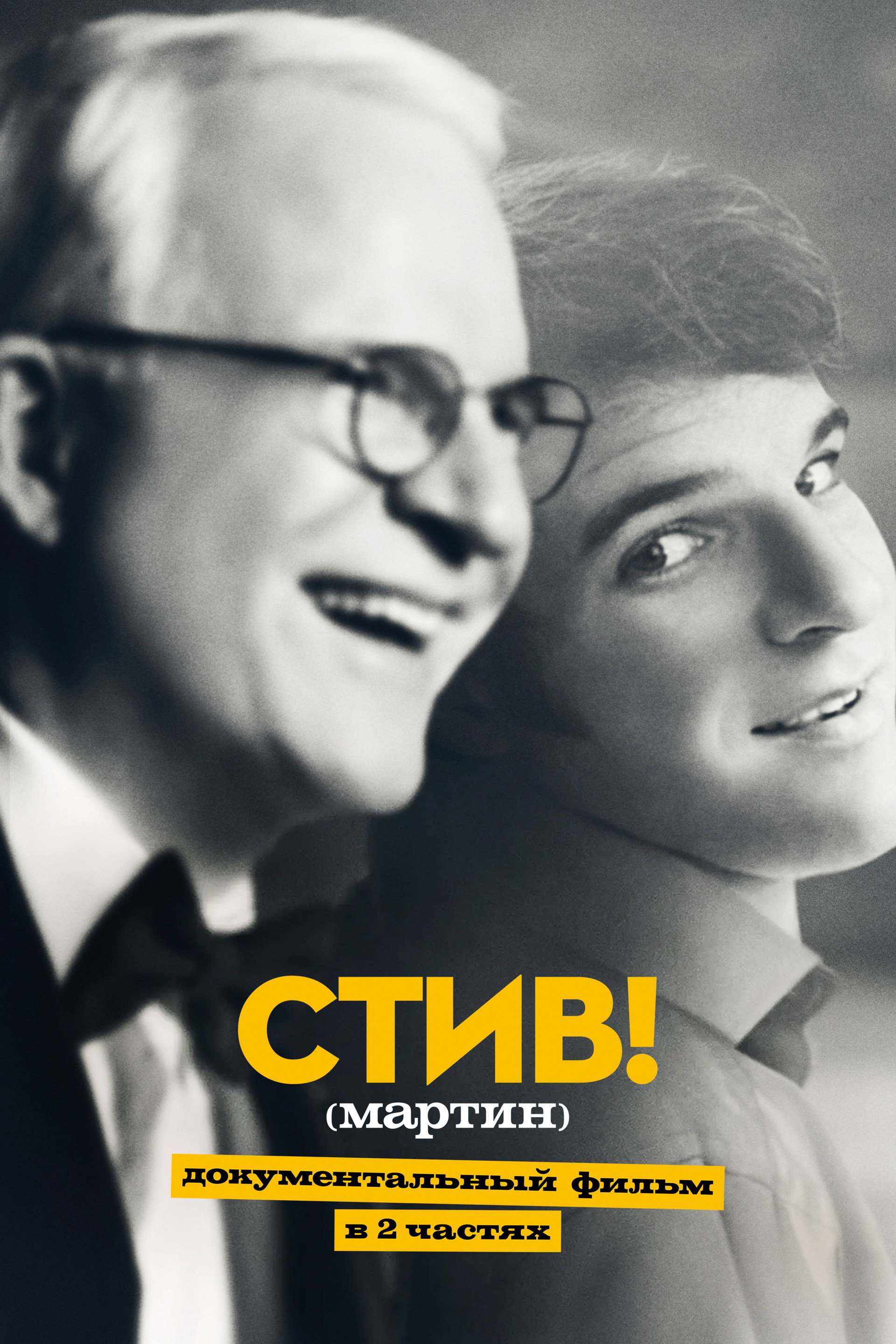 СТИВ! (мартин): Документальный фильм в двух частях