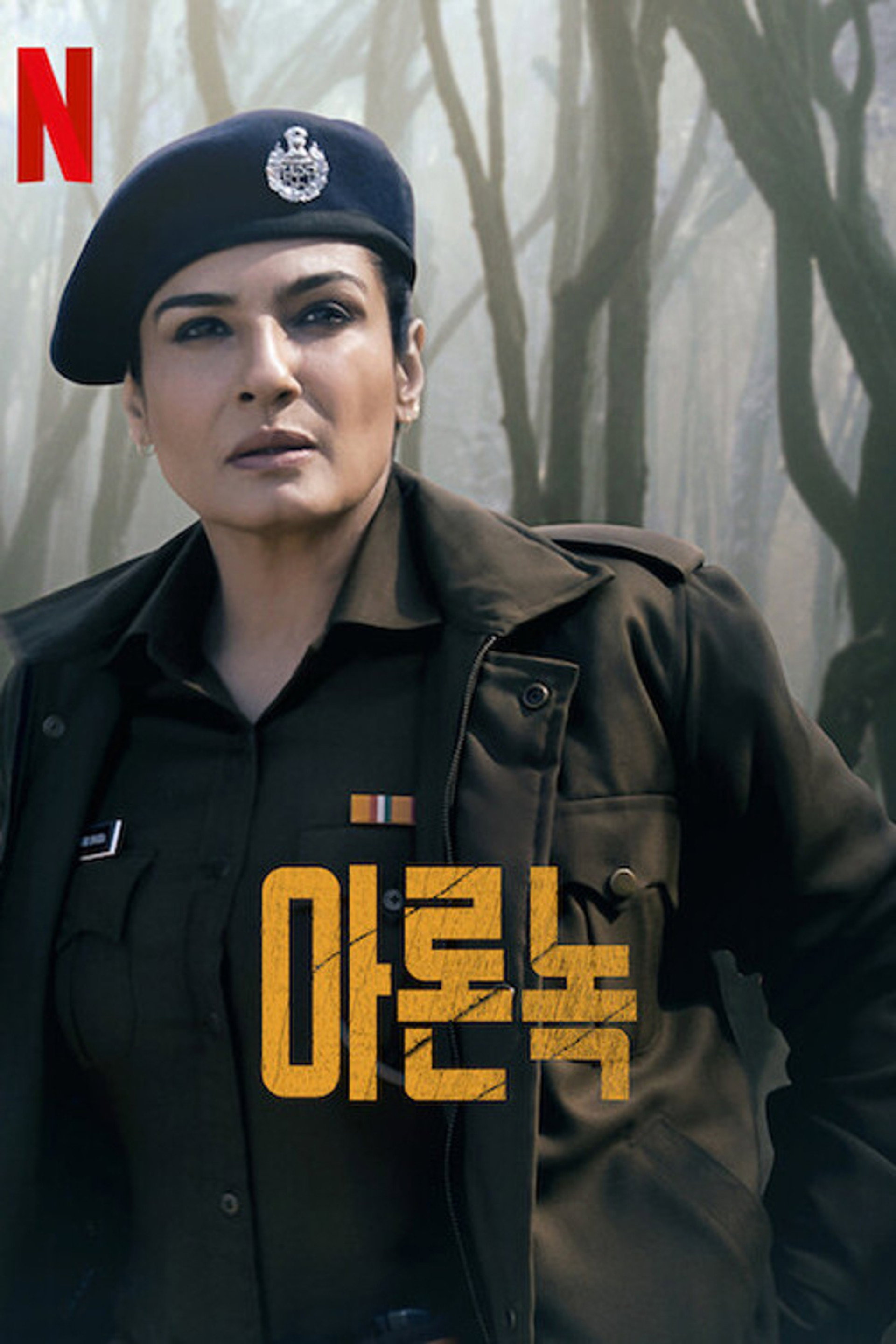 아론녹